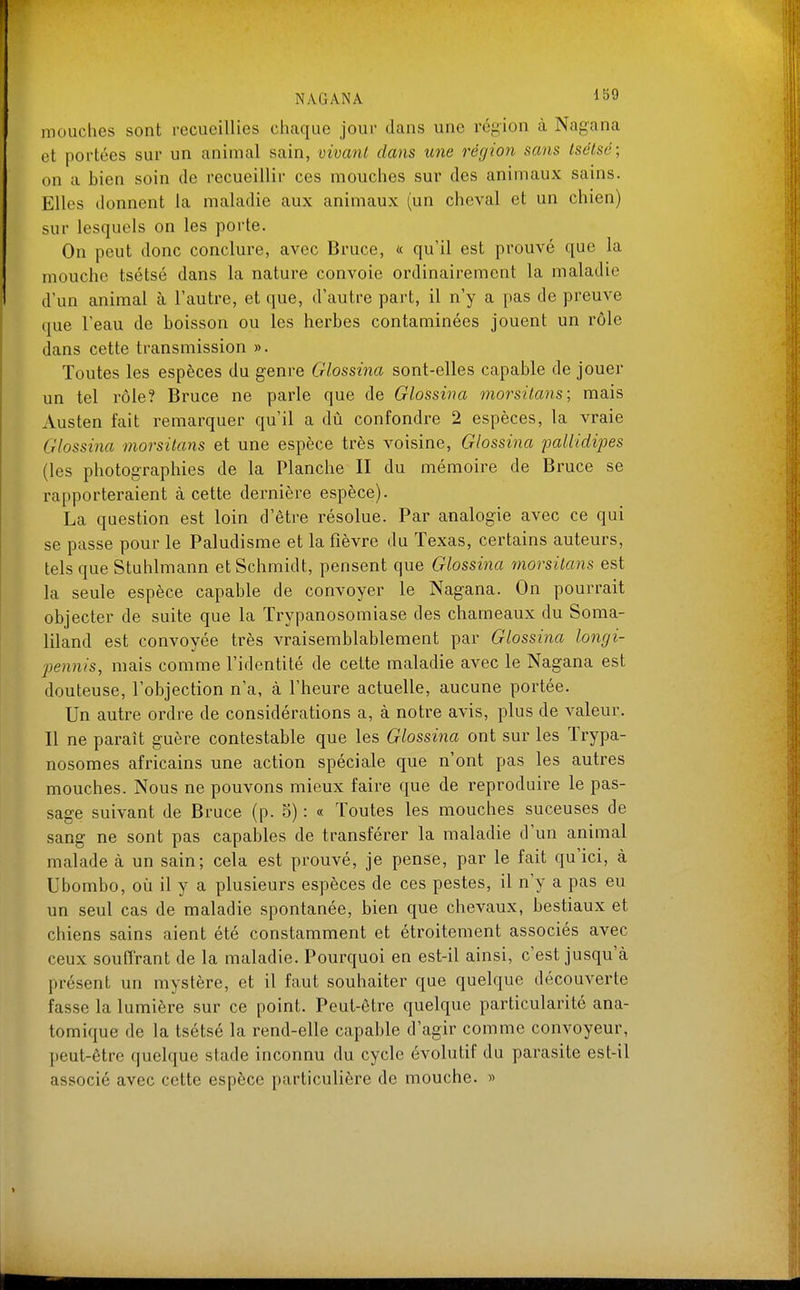 mouches sont recueillies chaque jour dans une région à Nagana et portées sur un animal sain, vivant dans une région sans Isélsé; on a bien soin de recueillir ces mouches sur des animaux sains. Elles donnent la maladie aux animaux (un cheval et un chien) sur lesquels on les porte. On peut donc conclure, avec Bruce, « qu'il est prouvé que la mouche tsétsé dans la nature convoie ordinairement la maladie d'un animal à l'autre, et que, d'autre part, il n'y a pas de preuve que l'eau de boisson ou les herbes contaminées jouent un rôle dans cette transmission ». Toutes les espèces du genre Glossina sont-elles capable de jouer un tel rôle? Bruce ne parle que de Glossina morsilans; mais Austen fait remarquer qu'il a dù confondre 2 espèces, la vraie Glossina morsilans et une espèce très voisine, Glossina pallidipes (les photographies de la Planche II du mémoire de Bruce se rapporteraient à cette dernière espèce). La question est loin d'être résolue. Par analogie avec ce qui se passe pour le Paludisme et la fièvre du Texas, certains auteurs, tels que Stuhlmann etSchmidt, pensent que Glossina morsilans est la seule espèce capable de convoyer le Nag'ana. On pourrait objecter de suite que la Trypanosomiase des chameaux du Soma- liland est convoyée très vraisemblablement par Glossina longi- pennis, mais comme l'identité de cette maladie avec le Nagana est douteuse, l'objection n'a, à l'heure actuelle, aucune portée. Un autre ordre de considérations a, à notre avis, plus de valeur. Il ne paraît guère contestable que les Glossina ont sur les Trypa- nosomes africains une action spéciale que n'ont pas les autres mouches. Nous ne pouvons mieux faire que de reproduire le pas- sage suivant de Bruce (p. 5) : « Toutes les mouches suceuses de sang ne sont pas capables de transférer la maladie d'un animal malade à un sain; cela est prouvé, je pense, par le fait qu'ici, à Ubombo, oii il y a plusieurs espèces de ces pestes, il n'y a pas eu un seul cas de maladie spontanée, bien que chevaux, bestiaux et chiens sains aient été constamment et étroitement associés avec ceux souffrant de la maladie. Pourquoi en est-il ainsi, c'est jusqu'à présent un mystère, et il faut souhaiter que quelque découverte fasse la lumière sur ce point. Peut-être quelque particularité ana- tomique de la tsétsé la rend-elle capable d'agir comme convoyeur, peut-être quelque slade inconnu du cycle évolutif du parasite est-il associé avec cette espèce particulière de mouche. »