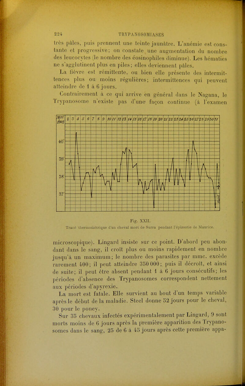 tr6s pâles, puis prennent une teinte jaunâtre. L'anémie est cons- tante et progressive; on constate^ une augmentation du nombre des leucocytes (le nombre des éosinophiles diminue). Les hématies ne s'agglutinent plus en piles; elles deviennent paies. La fièvre est rémittente, ou bien elle présente des intermit- tences plus ou moins régulières; intermittences qui peuvent atteindre de 1 à 6 jours. Contrairement à ce qui arrive en général dans le Nagana, le Trypanosome n'existe pas d'une' façon continue (à l'examen Fig. XXII. Tracé thermoriiétriquo d'un cheval mort do Surra pendant l'épizootie de Maurice. microscopique). Lingard insiste sur ce point. D'abord peu abon- dant dans le sang, il croît plus ou moins rapidement en nombre jusqu'à un maximum; le nombre des parasites par mmc. excède rarement 400; il peut atteindre 350 000; puis il décroît, et ainsi de suite; il peut être absent pendant 1 à 6 jours consécutifs; les périodes d'absence des Trypanosomes correspondent nettement aux périodes d'apyrexie. La mort est fatale. Elle survient au bout d'un temps variable après le début de la maladie. Steel donne 52 jours pour le cheval, 30 pour le poney. Sur 35 chevaux infectés expérimentalement par Lingard, 9 soîit morts moins de 6 jours après la première apparition des Trypano- somes dans le sang, 25 de 6 à 45 jours après cette première appa-