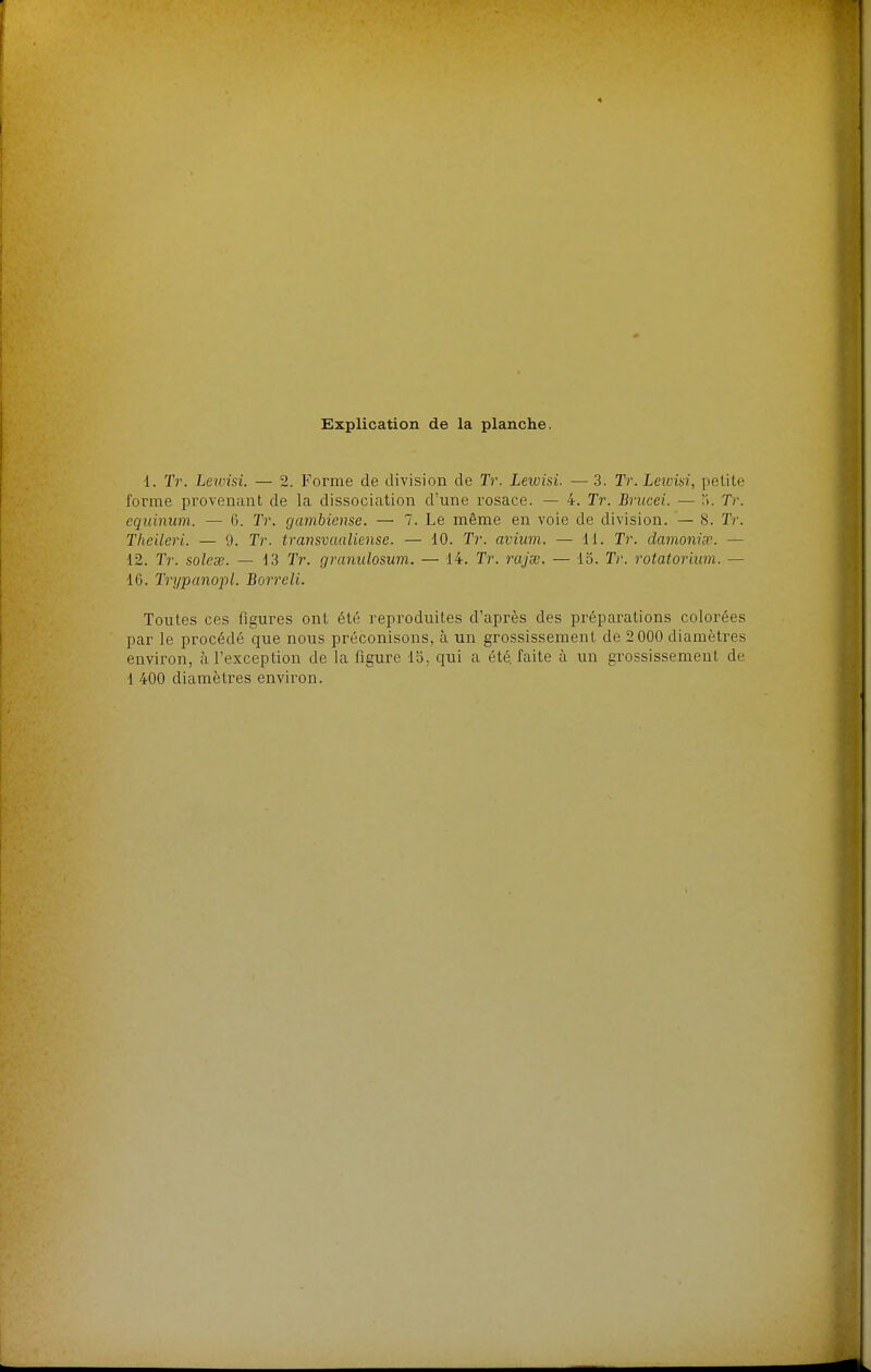 Explication de la planche. 1. Tr. Lewisi. — 2. Forme de division de Tr. Leiuisi. —3. Tr.Leivisi, petite forme provenant de la dissociation d'une rosace. — 4. Tr. Brucei. — i. Tr. equinum. — 6. Tr. gambiense. — 7. Le même en voie de division. — 8. Tr. Theileri. — 9. Tr. transvaaliense. — 10. Tr. avium. — 11. Tr. damoniœ. — 12. Tr. solcse. — 13 Tr. granulosum. — 14. Tr. rajœ. — lo. Tr. rotatoriiim. — 16. Tnjpanopl. Borreli. Toutes ces figures ont été reproduites d'après des préparations colorées par le procédé que nous préconisons, à un grossissement de 2 000 diamètres environ, à l'exception de la figure Ib, qui a été faite à un grossissement de 1 400 diamètres environ.