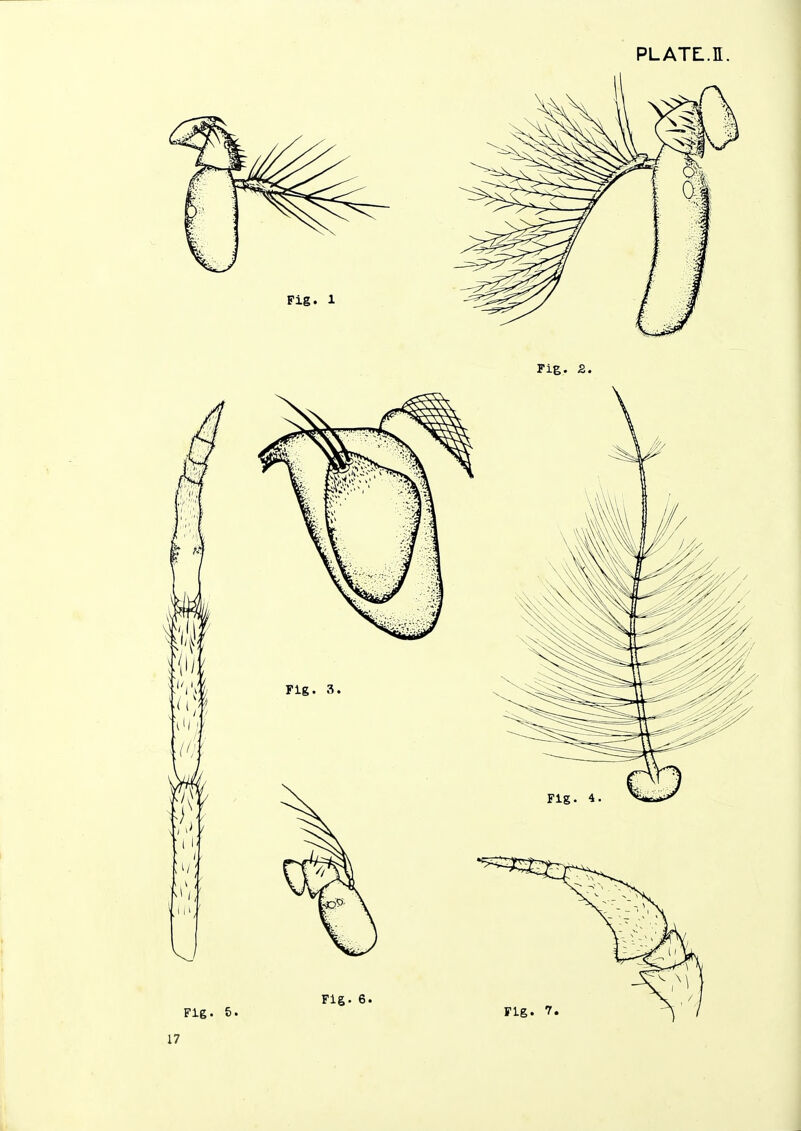 PLATE.tt Fig. 2. if K :i';f 1 li / Fig. 3 Fig. 5. Fig. 6. Fig. Fig. 7.