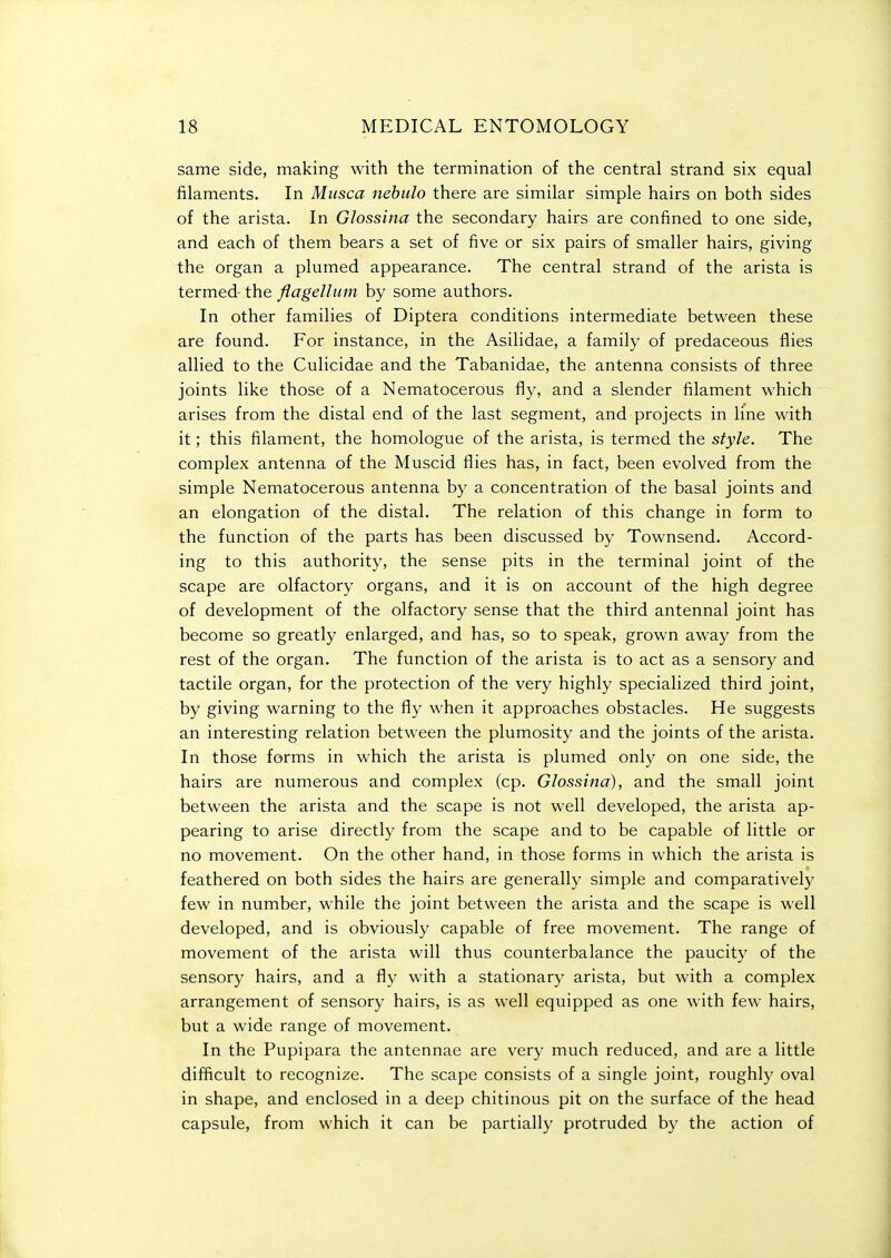 same side, making with the termination of the central strand six equal filaments. In Miisca nehulo there are similar simple hairs on both sides of the arista. In Glossina the secondary hairs are confined to one side, and each of them bears a set of five or six pairs of smaller hairs, giving the organ a plumed appearance. The central strand of the arista is termed the flagellum by some authors. In other families of Diptera conditions intermediate between these are found. For instance, in the Asilidae, a family of predaceous flies allied to the Culicidae and the Tabanidae, the antenna consists of three joints like those of a Nematocerous fly, and a slender filament which arises from the distal end of the last segment, and projects in line with it; this filament, the homologue of the arista, is termed the style. The complex antenna of the Muscid flies has, in fact, been evolved from the simple Nematocerous antenna by a concentration of the basal joints and an elongation of the distal. The relation of this change in form to the function of the parts has been discussed by Townsend. Accord- ing to this authority, the sense pits in the terminal joint of the scape are olfactory organs, and it is on account of the high degree of development of the olfactory sense that the third antennal joint has become so greatly enlarged, and has, so to speak, grown away from the rest of the organ. The function of the arista is to act as a sensory and tactile organ, for the protection of the very highly specialized third joint, by giving warning to the fly when it approaches obstacles. He suggests an interesting relation between the plumosity and the joints of the arista. In those forms in which the arista is plumed only on one side, the hairs are numerous and complex (cp. Glossina), and the small joint between the arista and the scape is not well developed, the arista ap- pearing to arise directly from the scape and to be capable of little or no movement. On the other hand, in those forms in which the arista is feathered on both sides the hairs are generally simple and comparatively few in number, while the joint between the arista and the scape is well developed, and is obviously capable of free movement. The range of movement of the arista will thus counterbalance the paucity of the sensory hairs, and a fly with a stationary arista, but with a complex arrangement of sensory hairs, is as well equipped as one with few hairs, but a wide range of movement. In the Pupipara the antennae are very much reduced, and are a little difficult to recognize. The scape consists of a single joint, roughly oval in shape, and enclosed in a deep chitinous pit on the surface of the head capsule, from which it can be partially protruded by the action of