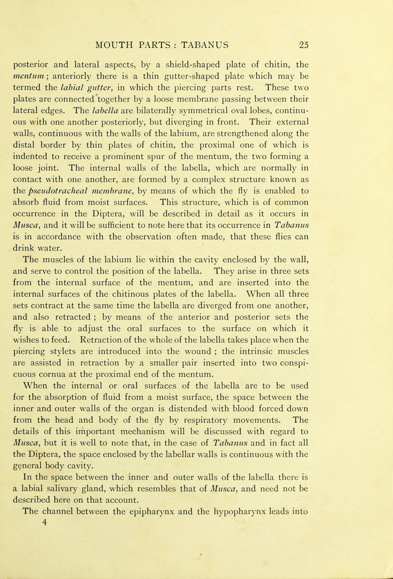 posterior and lateral aspects, by a shield-shaped plate of chitin, the mentitm ; anteriorly there is a thin gutter-shaped plate which may be termed the labial gutter, in which the piercing parts rest. These two plates are connected together by a loose membrane passing between their lateral edges. The lahella are bilaterally symmetrical oval lobes, continu- ous with one another posteriorly, but diverging in front. Their external walls, continuous with the walls of the labium, are strengthened along the distal border by thin plates of chitin, the proximal one of which is indented to receive a prominent spur of the mentum, the two forming a loose joint. The internal walls of the labella, which are normally in contact with one another, are formed by a complex structure known as the pseiidotracheal membrane, by means of which the fly is enabled to absorb fluid from moist surfaces. This structure, which is of common occurrence in the Diptera, will be described in detail as it occurs in Miisca, and it will be sufficient to note here that its occurrence in Tabanits is in accordance with the observation often made, that these flies can drink water. The muscles of the labium lie within the cavity enclosed by the wall, and serve to control the position of the labella. They arise in three sets from the internal surface of the mentum, and are inserted into the internal surfaces of the chitinous plates of the labella. When all three sets contract at the same time the labella are diverged from one another, and also retracted ; by means of the anterior and posterior sets the fly is able to adjust the oral surfaces to the surface on which it wishes to feed. Retraction of the whole of the labella takes place when the piercing stylets are introduced into the wound ; the intrinsic muscles are assisted in retraction by a smaller pair inserted into two conspi- cuous cornua at the proximal end of the mentum. When the internal or oral surfaces of the labella are to be used for the absorption of fluid from a moist surface, the space between the inner and outer walls of the organ is distended with blood forced down from the head and body of the fly by respiratory movements. The details of this irnportant mechanism will be discussed with regard to Mitsca, but it is well to note that, in the case of Tabanits and in fact all the Diptera, the space enclosed by the labellar walls is continuous with the general body cavity. In the space between the inner and outer walls of the labella there is a labial salivary gland, which resembles that of Miisca, and need not be described here on that account. The channel between the epipharynx and the hypopharynx leads into 4