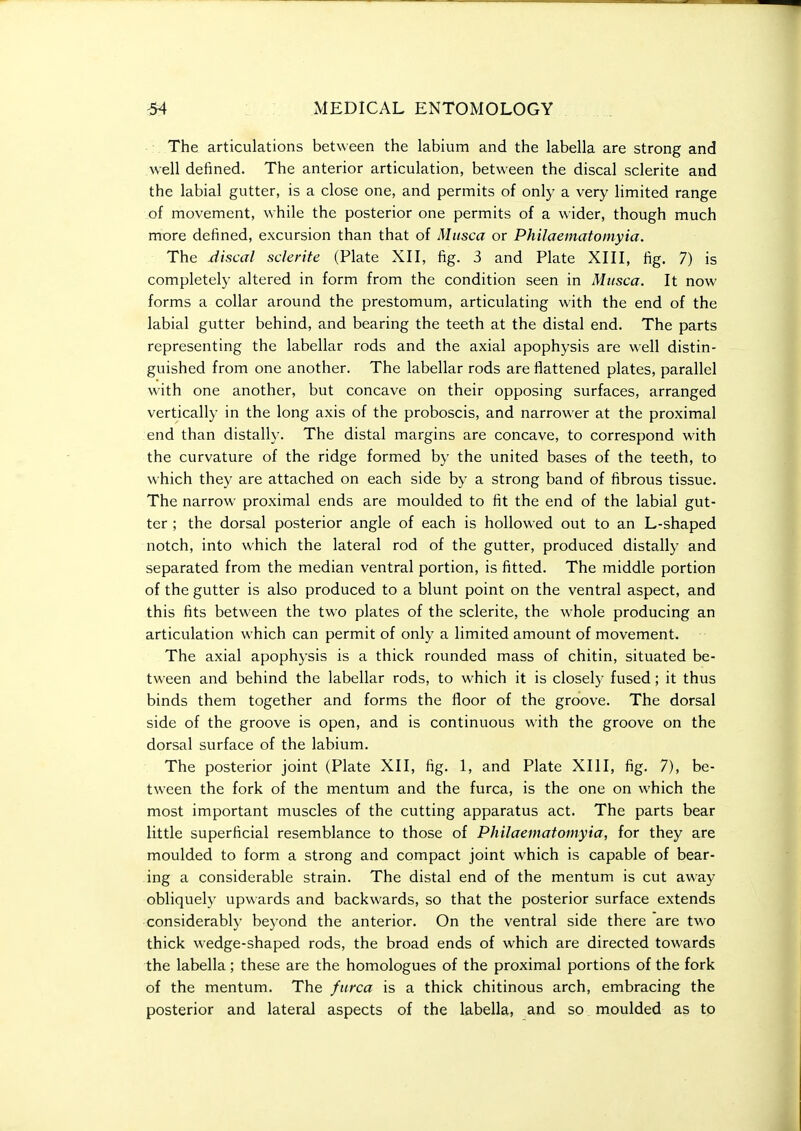 The articulations between the labium and the labella are strong and well defined. The anterior articulation, between the discal sclerite and the labial gutter, is a close one, and permits of only a very limited range of movement, while the posterior one permits of a wider, though much more defined, excursion than that of Musca or Philaematoinyia. The discal sderite (Plate XII, fig. 3 and Plate XIII, fig. 7) is completely altered in form from the condition seen in Musca. It now forms a collar around the prestomum, articulating with the end of the labial gutter behind, and bearing the teeth at the distal end. The parts representing the labellar rods and the axial apophysis are well distin- guished from one another. The labellar rods are flattened plates, parallel with one another, but concave on their opposing surfaces, arranged vertically in the long axis of the proboscis, and narrower at the proximal end than distally. The distal margins are concave, to correspond with the curvature of the ridge formed by the united bases of the teeth, to which they are attached on each side by a strong band of fibrous tissue. The narrow proximal ends are moulded to fit the end of the labial gut- ter ; the dorsal posterior angle of each is hollowed out to an L-shaped notch, into which the lateral rod of the gutter, produced distally and separated from the median ventral portion, is fitted. The middle portion of the gutter is also produced to a blunt point on the ventral aspect, and this fits between the two plates of the sclerite, the whole producing an articulation which can permit of only a limited amount of movement. The axial apophysis is a thick rounded mass of chitin, situated be- tween and behind the labellar rods, to which it is closely fused; it thus binds them together and forms the floor of the groove. The dorsal side of the groove is open, and is continuous with the groove on the dorsal surface of the labium. The posterior joint (Plate XII, fig. 1, and Plate XIII, fig. 7), be- tween the fork of the mentum and the furca, is the one on which the most important muscles of the cutting apparatus act. The parts bear little superficial resemblance to those of Philaematoinyia, for they are moulded to form a strong and compact joint which is capable of bear- ing a considerable strain. The distal end of the mentum is cut away obliquely upwards and backwards, so that the posterior surface extends considerably beyond the anterior. On the ventral side there are two thick wedge-shaped rods, the broad ends of which are directed towards the labella; these are the homologues of the proximal portions of the fork of the mentum. The furca is a thick chitinous arch, embracing the posterior and lateral aspects of the labella, and so moulded as to