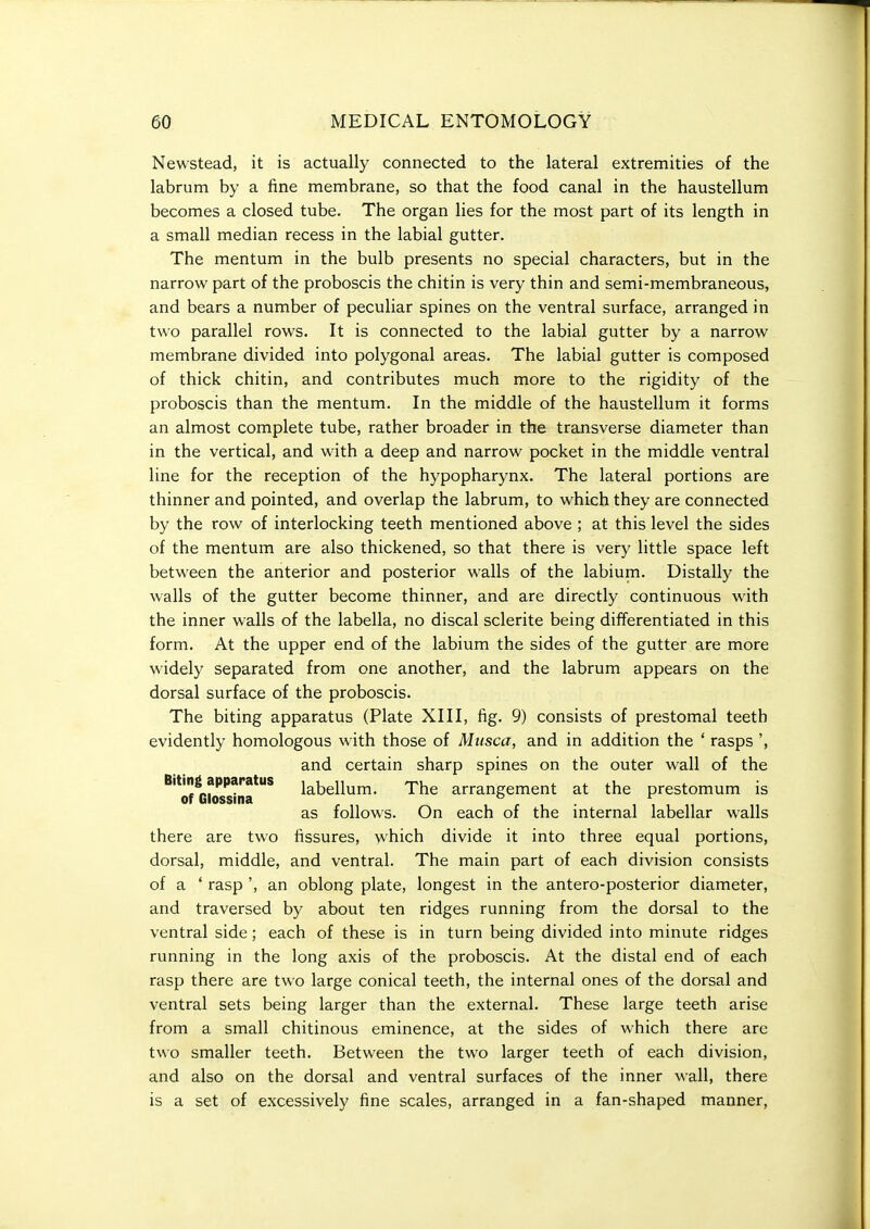 Newstead, it is actually connected to the lateral extremities of the labrum by a fine membrane, so that the food canal in the haustellum becomes a closed tube. The organ lies for the most part of its length in a small median recess in the labial gutter. The mentum in the bulb presents no special characters, but in the narrow part of the proboscis the chitin is very thin and semi-membraneous, and bears a number of peculiar spines on the ventral surface, arranged in two parallel rows. It is connected to the labial gutter by a narrow membrane divided into polygonal areas. The labial gutter is composed of thick chitin, and contributes much more to the rigidity of the proboscis than the mentum. In the middle of the haustellum it forms an almost complete tube, rather broader in the transverse diameter than in the vertical, and with a deep and narrow pocket in the middle ventral line for the reception of the hypopharynx. The lateral portions are thinner and pointed, and overlap the labrum, to which they are connected by the row of interlocking teeth mentioned above ; at this level the sides of the mentum are also thickened, so that there is very little space left between the anterior and posterior walls of the labium. Distally the walls of the gutter become thinner, and are directly continuous with the inner walls of the labella, no discal sclerite being differentiated in this form. At the upper end of the labium the sides of the gutter are more widely separated from one another, and the labrum appears on the dorsal surface of the proboscis. The biting apparatus (Plate XIII, fig. 9) consists of prestomal teeth evidently homologous with those of Miisca, and in addition the ' rasps ', and certain sharp spines on the outer wall of the ^'^of^Gklsstna*^ labellum. The arrangement at the prestomum is as follows. On each of the internal labellar walls there are two fissures, which divide it into three equal portions, dorsal, middle, and ventral. The main part of each division consists of a ' rasp ', an oblong plate, longest in the antero-posterior diameter, and traversed by about ten ridges running from the dorsal to the ventral side; each of these is in turn being divided into minute ridges running in the long axis of the proboscis. At the distal end of each rasp there are two large conical teeth, the internal ones of the dorsal and ventral sets being larger than the external. These large teeth arise from a small chitinous eminence, at the sides of which there are two smaller teeth. Between the two larger teeth of each division, and also on the dorsal and ventral surfaces of the inner wall, there is a set of excessively fine scales, arranged in a fan-shaped manner,