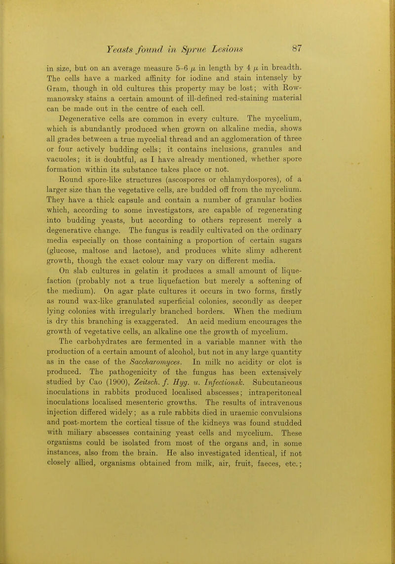 in size, but on an average measure 5-6 /x in length by 4 fx in breadth. The cells have a marked affinity for iodine and stain intensely by Gram, though in old cultures this property may be lost; with Row- manowsky stains a certain amount of ill-defined red-staining material can be made out in the centre of each cell. Degenerative cells are common in every culture. The mycelium, which is abundantly produced when grown on alkaline media, shows all grades between a true mycelial thread and an agglomeration of three or four actively budding cells; it contains inclusions, granules and vacuoles; it is doubtful, as I have already mentioned, whether spore formation within its substance takes place or not. Round spore-like structures (ascospores or chlamydospores), of a larger size than the vegetative cells, are budded off from the mycelium. They have a thick capsule and contain a number of granular bodies which, according to some investigators, are capable of regenerating into budding yeasts, but according to others represent merely a degenerative change. The fungus is readily cultivated on the ordinary media especially on those containing a proportion of certain sugars (glucose, maltose and lactose), and produces white slimy adherent growth, though the exact colour may vary on different media. On slab cultures in gelatin it produces a small amount of lique- faction (probably not a true liquefaction but merely a softening of the medium). On agar plate cultures it occurs in two forms, firstly as round wax-like granulated superficial colonies, secondly as deeper lying colonies with irregularly branched borders. When the medium is dry this branching is exaggerated. An acid medium encourages the growth of vegetative cells, an alkaline one the growth of mycelium. The carbohydrates are fermented in a variable manner with the production of a certain amount of alcohol, but not in any large quantity as in the case of the Saccharomyces. In milk no acidity or clot is produced. The pathogenicity of the fungus has been extensively studied by Cao (1900), Zeitsch. f. Hyg. u. Infectionsk. Subcutaneous inoculations in rabbits produced localised abscesses; intraperitoneal inoculations localised mesenteric growths. The results of intravenous injection differed widely; as a rule rabbits died in uraemic convulsions and post-mortem the cortical tissue of the kidneys was found studded with miliary abscesses containing yeast cells and mycelium. These organisms could be isolated from most of the organs and, in some instances, also from the brain. He also investigated identical, if not closely allied, organisms obtained from milk, air, fruit, faeces, etc.;