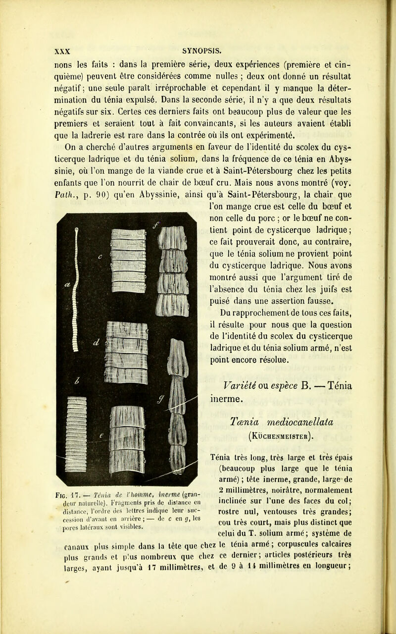 nons les faits : dans la première série, deux expériences (première et cin- quième) peuvent être considérées comme nulles ; deux ont donné un résultat négatif; une seule paraît irréprochable et cependant il y manque la déter- mination du ténia expulsé. Dans la seconde série, il n'y a que deux résultats négatifs sur six. Certes ces derniers faits ont beaucoup plus de valeur que les premiers et seraient tout à fait convaincants, si les auteurs avaient établi que la ladrerie est rare dans la contrée où ils ont expérimenté. On a cherché d'autres arguments en faveur de l'identité du scolex du cys- ticerque ladrique et du ténia solium, dans la fréquence de ce ténia en Abys* sinie, où l'on mange de la viande crue et à Saint-Pétersbourg chez les petits enfants que l'on nourrit de chair de bœuf cru. Mais nous avons montré (voy. Palh., p. 90) qu'en Abyssinie, ainsi qu'à Saint-Pétersbourg, la chair que l'on mange crue est celle du bœuf et non celle du porc ; or le bœuf ne con- tient point de cysticerque ladrique ; ce fait prouverait donc, au contraire, que le ténia solium ne provient point du cysticerque ladrique. Nous avons montré aussi que l'argument tiré de l'absence du ténia chez les juifs est puisé dans une assertion fausse. Du rapprochement de tous ces faits, il résulte pour nous que la question de l'identité du scolex du cysticerque ladrique et du ténia solium armé, n'est point encore résolue. Variété ou espèce B. — Ténia inerme. Tesnïa mediocanellata (KiiCHENMEISTER). Ténia très long, très large et très épais (beaucoup plus large que le téuia armé) ; t<^,te inerme, grande, large de 2 millimètres, noirAtre, normalement inclinée sur l'une des faces du col; rostre nul, ventouses très grandes; cou très court, mais plus distinct que celui du T. solium armé; système de canaux plus simi.le dans la tête que chez le ténia armé; corpuscules calcaires plus grands et plus nombreux que chez ce dernier ; urlicles postérieurs très larges, ayant jusqu'à 17 millimètres, et de 9 à 14 millimètres en longueur; FiG. l'î.— Ténia de l'homme, Itiecmê (gran- deur naturolle). l<'i';ii;monls pris de dislanci; en distance, l'ordre des lettres indique leur suc- cession d'av.inl en arrière ; — de c en f}, les porcs latéraux sont visibles.