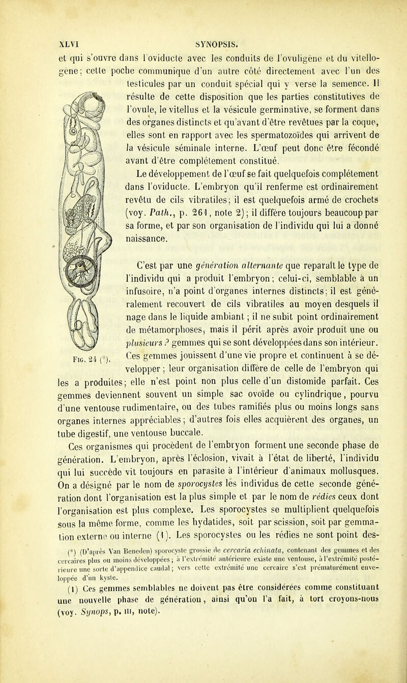 et qui s'ouvre dans 1 oviducte avec les conduits de l'ovuligcnu et du vilello- gene; cette poche communique d'un autre côté directement avec l'un des testicules par un conduit spécial qui y verse la semence. 11 résulte de cette disposition que les parties constitutives de l'ovule, le vitellus et la vésicule germinative, se forment dans des organes distincts et qu'avant d'être revêtues par la coque, elles sont en rapport avec les spermatozoïdes qui arrivent de la vésicule séminale interne. L'œuf peut donc être fécondé avant d'être complètement constitué. Le développement de l'œuf se fait quelquefois complètement dans l'oviducte. L'embryon qu'il renferme est ordinairement revêtu de cils vibraliles; il est quelquefois armé de crochets (voy. Paih., p. 261, note 2); il diffère toujours beaucoup par sa forme, et par son organisation de l'individu qui lui a donné naissance. C'est par une génération ctliernante que reparaît le type de l'individu qui a produit l'embryon; celui-ci, semblable à un infusoire, n'a point d'organes internes distincts; il est géné- ralement recouvert de cils vibraliles au moyen desquels il nage dans le liquide ambiant ; il ne subit point ordinairement de métamorphoses, mais il périt après avoir produit une ou plusieurs P gemmes qui se sont développées dans son intérieur. Ces gemmes jouissent d'une vie propre et continuent à se dé- velopper ; leur organisation diffère de celle de l'embryon qui les a produites; elle n'est point non plus celle d'un distomide parfait. Ces gemmes deviennent souvent un simple sac ovoïde ou cylindrique, pourvu d'une ventouse rudimentaire, ou des tubes ramifiés plus ou moins longs sans organes internes appréciables ; d'autres fois elles acquièrent des organes, un tube digestif, une ventouse buccale. Ces organismes qui procèdent de l'embryon forment une seconde phase de génération. L'embryon, après l'éclosion, vivait à l'état de liberté, l'individu qui lui succède vit toujours en parasite à l'intérieur d'animaux mollusques. On a désigné par le nom de sporocystes les individus de cette seconde géné- ration dont l'organisation est la plus simple et par le nom de rédies ceux dont l'organisation est plus complexe. Les sporocystes se multiplient quelquefois sous la môme forme, comme les hydatides, soit par scission, soit par gemma- tion externo ou interne (1 ). Les sporocystes ou les rédies ne sont point des- (*) (D'après Van Bencilcn) sporocyslc grossie de cercaria echinata, contcnanl des gemmes et des ccrcaires plus ou moins développées ; à l'extrémité antérieure existe une ventouse, à l'extrémité posté- rieure une sorte d'appendice caudal ; vers cotte exlrémito une cercairc s'est prématurément enve- loppée d'un kysle. (I) Ces gemmes semblables ne doivent pas être considérées comme consliluunl une nouvelle phase de génération, uiusi qu'où l'a lait, à lort croyons-nous (voy. Synops, p. in, note).