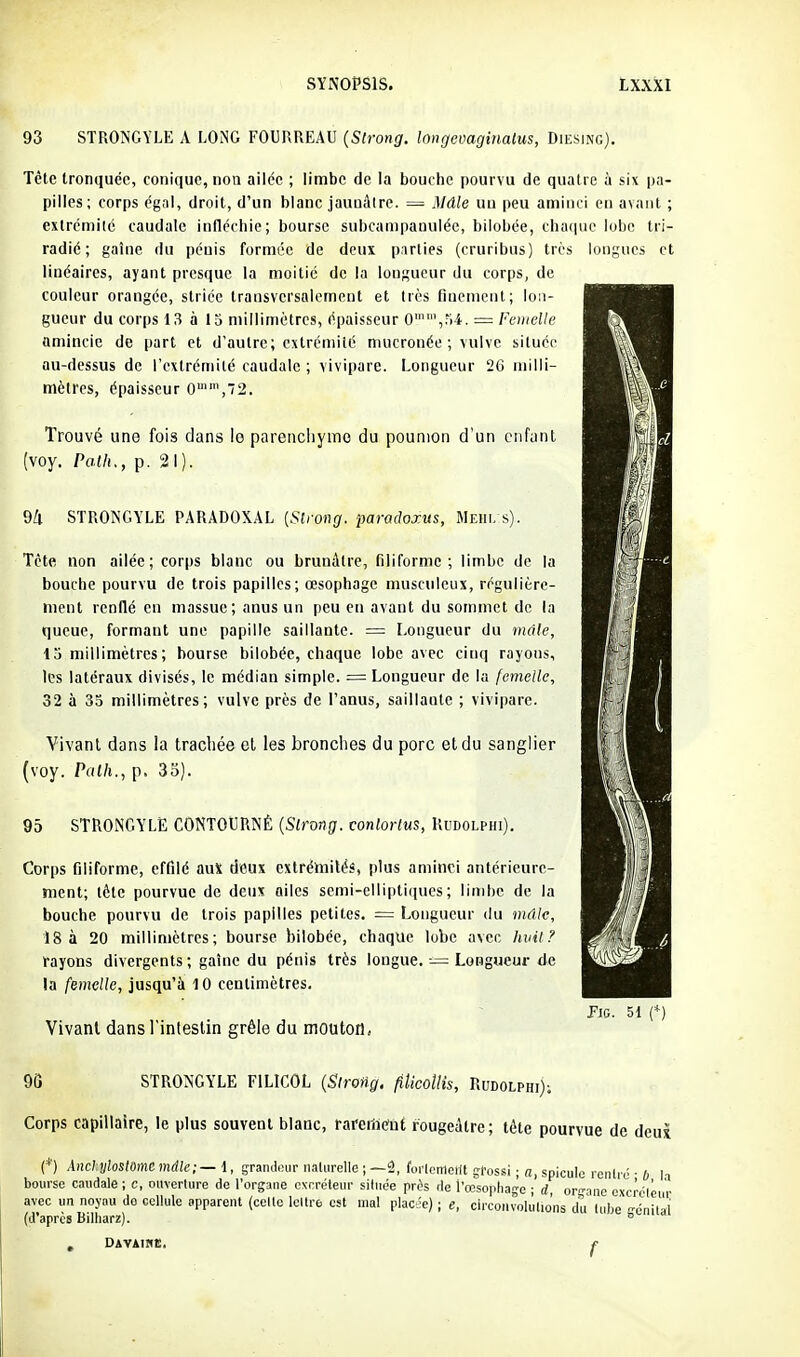 93 STRONGYLE A LONG FOURREAU (Strong. Inngevaginalus, Diesing). Tête tronquée, conique, non ailée ; limbe de la bouche pourvu de quatre à six pa- pilles; corps égal, droit, d'un blanc jaunâtre. = Mâle uu peu aminci en avant ; extrémité caudale infléchie; bourse subcampanulée, bilobée, cha(iue lubc tri- radié ; gaîne du pénis formée de deux parties (cruribus) très longues et linéaires, ayant presque la moitié de la longueur du corps, de couleur orangée, striée transversalement et très nnciiient; lon- gueur du corps 13 à 13 millimètres, épaisseur 0,M4. = Femelle amincie de part et d'autre; extrémité mucronée ; vulve située au-dessus de l'cxtrémiié caudale ; vivipare. Longueur 26 milli- mètres, épaisseur 0,'2. Trouvé une fois dans le parencliymo du poumon d'un enfant (voy. Palh., p. 21). 9/l STRONGYLE PARADOXAL {Slrong. paradoxus, Mehi. s). Tète non ailée; corps blanc ou brunâtre, filiforme; limbe de la bouche pourvu de trois papilles; œsophage musculeux, régulière- ment renflé en massue; anus un peu en avant du sommet de la queue, formant une papille saillante. = Longueur du mâle, 13 millimètres; bourse bilobée, chaque lobe avec cinq rayons, les latéraux divisés, le médian simple. = Longueur de la femelle, 32 à 33 millimètres; vulve près de l'anus, saillante ; vivipare. Vivant dans la trachée el les bronches du porc et du sanglier (voy. Palh., p. 35). 95 STRONGYLE CONTOURNÉ {Slrong. vonlortus, Rudolphi). Corps filiforme, effilé auX deux extrémités, plus aminci antérieure- ment; tête pourvue de deux ailes semi-elliptiques; limbe de la bouche pourvu de trois papilles petites. = Longueur du mâle, 18 à 20 millimètres; bourse bilobée, chaque lobe avec huil ? fayons divergents; gaîne du pénis très longue. — Longueur de la femelle, jusqu'à 10 centimètres. Vivant dans l'intestin grêle du mouton, FiG. 51 (*) 90 STRONGYLE FILICOL {Sirong. filicottis, Rudolphi); Corps capillaire, le plus souvent blanc, rareisent fougeâtre; tête pourvue de deux (*) Anclyloslomemdlc:—l, grandour naUirelle ; —2, forlemetlt grossi ; n, spiculc renliû • 6 la bourse caudale ; c, ouverture de l'organe excréteur située près de l'œsophage ; d or'-aiic oxcrOléur avec un noyau do cellule apparent (celle lettre est mal placée) ; e, clrconvolulio'ns du tube n-énilal (d'après Billiarz). ° , DAVAlIflt. f