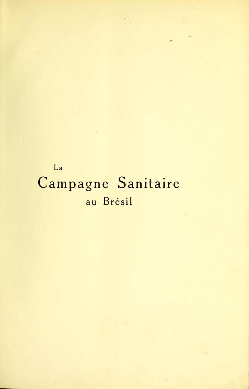 La Campagne Sanitaire au Brésil