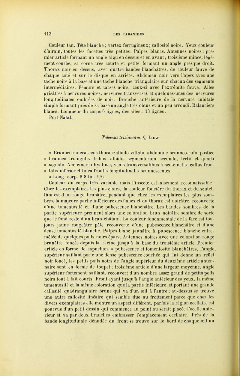 Couleur tan. Tête blanche; vertex ferrugineux; callosité noire. Yeux couleur d'airain, toutes les facettes très petites. Palpes blancs. Antennes noires: pre- mier article formant un angle aigu en dessus et en avant ; troisième mince, légè- ment courbe, sa corne très courte et petite formant un angle presque droit. Thorax noir en dessus, avec quatre bandes blanchâtres, de couleur fauve de chaque côté et sur le disque en arrière. Abdomen noir vers l'apex avec une tache noire à la base et une tache blanche triangulaire sur chacun des segments intermédiaires. Fémurs et tarses noirs, ceux-ci avec l'extrémité fauve. Ailes grisâtres à nervures noires, nervures transverses et quelques-unes des nervures longitudinales ombrées de noir. Branche antérieure de la nervure cubitale simple formant près de sa base un angle très obtus et un peu arrondi. Balanciers blancs. Longueur du corps 6 lignes, des ailes : 13 lignes. Port Natal. Tabanus trisigmtus 9 Lœw « Brunneo-cinerascens thoracealbido-vittato, abdomine brunneo-rufo, postice « brunneo triangulis tribus albidis segmentorum secundo, tertii et quarti « signato. Alœ cinereo-hyalinee, venis transversalibus fusco-cinctis; callus fron- « talis inferior et linea frontis longitudinalis brunnescentes. « Long. corp. 8-8 lin. 1/6. Couleur du corps très variable mais l'insecte est aisément reconnaissable. Chez les exemplaires les plus clairs, la couleur foncière du thorax et du scutel- lum est d'un l'ouge brunâtre^ pendant que chez les exemplaires les plus som- bres, la majeure partie inférieure des flancs et du thorax est noirâtre, recouverte d'une tomentosité et d'une pubescence blanchâtre. Les bandes sombres de la partie supérieure prennent alors une coloration brun noirâtre sombre de sorte que le fond reste d'un brun-châtain. La couleur fondamentale de la face est tou- jours jaune rougeâtre pâle recouverte d'une pubescence blanchâtre et d'une dense tomentosité blanche. Palpes blanc jaunâtre à pubescence blanche entre- mêlée de quelques poils noirs épars. Antennes noires avec une coloration rouge brunâtre foncée depuis la racine jusqu'à la base du troisième article. Premier article en forme de capuchon, à pubescence et tomentosité blanchâtres, l'angle, supérieur saillant porte une dense pubescence couchée qui lui donne un reflet noir foncé, les petits poils noirs de l'angle supérieur du deuxième article anten- naire sont en forme de toupet ; troisième article d'une largeur moyenne, angle supérieur fortement saillant, recouvert d'un nombre assez grand de petits poils noirs tout à fait courts. Front ayant jusqu'à l'angle antérieur des yeux, la même tomentosité et la même coloration que la partie inférieure, et portant une grande callosité quadrangulaire brune qui va d'un œil à l'autre ; au-dessus se trouve une autre callosité linéaire qui semble due au frottement parce que chez les divers exemplaires elle montre un aspect différent, parfois la région ocellaireest pourvue d'un petit dessin qui commence au point ou serait placée l'ocelle anté- rieur et va par deux branches embrasser l'emplacement ocellaire. Près de la bande longitudinale dénudée du front se trouve sur le bord de chaque œil un