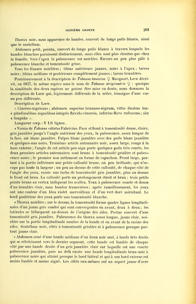 Thorax noir, sans apparence de bandes, couvert de longs poils blancs, ainsi que le scutellum. Abdomen petit, pointu, couvert de longs poils blancs à travers lesquels les bandes blanches paraissent distinctement, mais elles sont plus étroites que chez la femelle. Vers l'apex la pubescence est noirâtre. Envers un peu plus pâle à pubescence blanche et tomentosité grise; Tous les fémurs noirâtres ; tibias antérieurs jaunes, noirs à l'apex ; tarses noirs ; tibias médians et postérieurs complètement jaunes ; tarses brunâtres. Postérieurement à la description de Tabanus tœniaiiis 9 Macquart, Lœw décri- vit, en 1857, la même espèce sous le nom de Tabanus slrigiventris 9 '■ quoique la similitude des deux espèces ne puisse être mise en doute, nous donnons la description de Lœw qui, légèrement différente de la nôtre, témoigne d'une vue un peu différente. Description de Lœw. « Cinereo-nigricans ; abdomen superius brunneo-nigrum, vittis duabus lon- « gitudinalibus fequalibus integris flavido-cinereis, inferius flavo rufescens ; alfe « limpidœ .•>. Longueur corp.: 6 1/6 lignes. « Voisin de Tabanus viltatus Fabricius. Face et front à tomentosité dense, claire, gris jaunâtre jusqu'à l'angle antérieur des yeux, la pubescence, assez longue de la face, est blanc jaunâtre. Palpes blanc jaunâtre avec des poils blanc jaunâtre «t quelques-uns noirs. Troisième article antennaire noir, assez large, rouge à la base externe; l'angle de cet article peu aigu porte quelques poils très courts, les deux premiers articles antennaires sont bruns h tomentosité grisâtre et pubes- cence noire ; le premier non nettement en forme de capuchon. Front large, por- tant à la partie inférieure une petite callosité brune, un peu brillante, qui n'oc- cupe pas toute la largeur ; un peu au-dessus de cette callosité, de chaque côté de l'angle des yeux, existe une tache de tomentosité gris jaunâtre, plus au-dessus le front est brun. La callosité porte un prolongement étroit et brun ; trois petits points bruns au vertex indiquent les ocelles. Yeux à pubescence courte et dense d'un brunâtre clair, sans bandes transverses ; après ramollissement, les yeux ont une couleur d'un bleu violet merveilleux et d'un vert doré miroitant. Le bord postérieur des yeux porte une tomentosité blanche. « Thorax noirâtre ; sur le dessus, la tomentosité forme quatre lignes longitudi- nales d'un jaune gris cendré qui sont convergentes en avant, deux à deux; les latérales se bifurquent au-dessus de l'origine des ailes. Pectus couvert d'une tomentosité gris jaunâtre. Pubescence du thorax assez longue, jaune clair, noi- râtre sur la partie longitudinale sombre de la bande et en avant de la racine des ailes. Scutellum noir, côtés à tomentosité grisâtre et à pubescence presque par- tout jaune clair. « Abdomen orné d'une bande médiane d'un brun noir mat, à bords très droits qui se rétrécissent vers le dernier segment, cette bande est limitée de chaque côté par une bande droite d'un gris jaunâtre clair sur laquelle est une courte pubescence jaunâtre, puis au delà existe une bande longitudinale brun-noir à pubescence noire qui atteint presque le bord latéral et qui à son bord externe est moins limitée et moins aiguë. Les côtés eux-mêmes ont un aspect jaune d'ocre