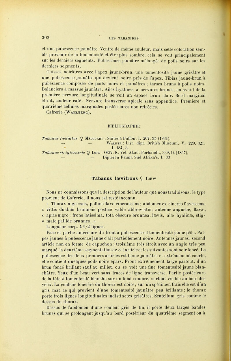 et une pubescence jaunâtre. Ventre de même couleur, mais cette coloration sem- ble provenir de la tomentosité et être plus sombre, cela se voit principalement sur les derniers segments. Pubescence jaunâtre mélangée de poils noirs sur les derniers segments. Cuisses noirâtres avec l'apex jaune-brun, une tomentosité jaune grisâtre et une pubescence jaunâtre qui devient noire près de l'apex. Tibias jaune-brun à pubescence composée de poils noirs et jaunâtres ; tarses bruns à poils noirs. Balanciers à massue jaunâtre. Ailes hyalines à nervures brunes, en avant de la première nervure longitudinale se voit un espace brun clair. Bord marginal étroit, couleur café. Nervure transverse apicale sans appendice Première et quatrième cellules marginales postérieures non rétrécies. Cafrerie (Wahlberg). BIBLIOGRAPHIE Tabanus tœniatus Ç Macquart : Suites à Buffon, I, 207, 35 (1834). — — Walker : List. dipt. British Muséum, V, 229, 321. I, 184, 5. Tabanus strigiventris 9 Lœw : OEfv. K. Vet. Akad. Forhandl., 339,14 (1857). — — Dipteren Fauna Sud Afrika's, I. 33 Tabanus laevifrons Ç Lœw Nous ne connaissons que la description de l'auteur que nous traduisons, le type provient de Cafrerie, il nous est resté inconnu. « Thorax nigricans, pollineflavo cinerascens ; abdomen ex cinereo flavescens, « vittis duabus brunneis postice valde abbreviatis ; antenne angustee, flavae, « apicenigro; frons latissima, tota obscure brunnea, laevis, alae hyalinse, stig- « mate pallide brunneo. » Longueur corp. 4 1/2 lignes. Face et partie antérieure du front à pubescence et tomentosité jaune pâle. Pal- pes jaunes à pubescence jaune clair partiellement noire. Antennes jaunes; second article non en forme de capuchon ; troisième très étroit avec un angle très peu marqué, la deuxième segmentation de cet article et les suivantes sont noir foncé. La pubescence des deux premiers articles est blanc jaunâtre et extrêmement courte, elle contient quelques poils noirs épars. Front extrêmement large partout, d'un brun foncé brillant sauf au milieu ou se voit une fine tomentosité jaune blan- châtre. Yeux d'un beau vert sans traces de ligne transverse. Partie postérieure de la tête à tomentosité blanche sur un fond sombre, surtout visible au bord des yeux. La couleur foncière du thorax est noire ; sur un spécimen frais elle est d'un gris mat, ce qui provient d'une tomentosité jaunâtre peu brillante ; le thorax porte trois lignes longitudinales indistinctes grisâtres. Scutellum gris comme le dessus du thorax. Dessus de l'abdomen d'une couleur gris de lin, il porte deux larges bandes brunes qui se prolongent jusqu'au bord postérieur du quatrième segment ou à