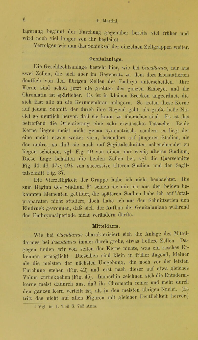 lageruug beginnt der Furchnng gegenüber bereits viel früher und wird noch viel länger von ihr begleitet. Verfolgen wir nun das Schicksal der einzelnen Zellgruppen weiter. Genitalanlage. Die Geschlechtsanlage besteht hier, wie bei Cueuttanus, nur aus zwei Zellen, die sich aber im Gegensatz zu dem dort Konstatierten deutlich von den übrigen Zellen des Embryo unterscheiden. Ihre Kerne sind schon jetzt die größten des ganzen Embryo, und ihr Chromatin ist spärlicher. Es ist in kleinen Brocken angeordnet, die sich fast alle an die Kernmembran anlagern. So treten diese Kerne auf jedem Schnitt, der durch ihre Gegend geht, als große helle Nu- clei so deutlich hervor, daß sie kaum zu übersehen sind. Es ist das betreffend die Orientierung eine sehr erwünschte Tatsache. Beide Kerne liegen meist nicht genau symmetrisch, sondern es liegt der eine meist etwas weiter vorn, besonders auf jüngeren Stadien, als der andre, so daß sie auch auf Sagittalschnitten nebeneinander zu liegen scheinen, vgl. Fig. 40 von einem nur wenig älteren Stadium. Diese Lage behalten die beiden Zellen bei, vgl. die Querschnitte Fig. 44, 46, 47 a, 49 b von successive älteren Stadien, und den Sagit- talschnitt Fig. 37. Die Vierzelligkeit der Gruppe habe ich nicht beobachtet. Bis zum Beginn des Stadium 31 schien sie mir nur aus den beiden be- kannten Elementen gebildet, die späteren Stadien habe ich auf Total- präparaten nicht studiert, doch habe ich aus den Schnittserien den Eindruck gewonnen, daß sich der Aufbau der Genitalanlage während der Embryonalperiode nicht verändern dürfte. Mitteldarm. Wie bei Cucullanus charakterisiert sich die Anlage des Mittel- darmes bei Pseudalius immer durch große, etwas hellere Zellen. Da- gegen finden wir von Seiten der Kerne nichts, was ein rasches Er- kennen ermöglicht. Dieselben sind klein in früher Jugend, kleiner als die meisten der nächsten Umgebung, die noch vor der letzten Furchung stehen (Fig. 42) und erst nach dieser auf etwa gleiches Volum zurückgehen (Fig. 45). Immerhin zeichnen sich die Entoderm- kerne meist dadurch aus, daß ihr Chromatin feiner und mehr durch den ganzen Kern verteilt ist, als in den meisten übrigen Nuclei. (Es tritt das nicht auf allen Figuren mit gleicher Deutlichkeit hervor.) i Vgl. im I. Teil S. 743 Anin.