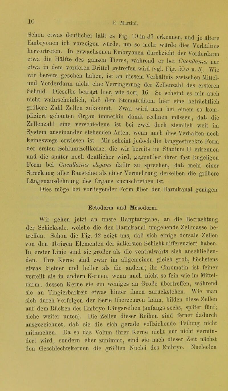 Schon etwas deutlicher läßt es Fig. 10 in 37 erkennen, und je ältere Embryonen ich vorzeigen würde, um so mehr würde dies Verhältnis hervortreten. In erwachsenen Embryonen durchzieht der Vorderdarm etwa die Hälfte des ganzen Tieres, während er bei Cueullanus nur etwa in dem vorderen Drittel getroffen wird (vgl. Fig. 50 a u. 6). Wie wir bereits gesehen haben, ist an diesem Verhältnis zwischen Mittel- und Vorderdarm nicht eine Verringerung der Zellenzahl des ersteren Schuld. Dieselbe beträgt hier, wie dort, 16. So scheint es mir auch nicht wahrscheinlich, daß dem Stomatodäum hier eine beträchtlich größere Zahl Zellen zukommt. Zwar wird man bei einem so kom- pliziert gebauten Organ immerhin damit rechnen müssen, daß die Zellenzahl eine verschiedene ist bei zwei doch ziemlich weit im System auseinander stehenden Arten, wenn auch dies Verhalten noch keineswegs erwiesen ist. Mir scheint jedoch die langgestreckte Form der ersten Schlundzellkerne, die wir bereits im Stadium II erkennen und die später noch deutlicher wird, gegenüber ihrer fast kugeligen Form bei Cueullanus elegans dafür zu sprechen, daß mehr einer Streckung aller Bausteine als einer Vermehrung derselben die größere Längenausdehnung des Organs zuzuschreiben ist. Dies möge bei vorliegender Form Uber den Darmkanal genügen. Ectoderm und Mesoderm. Wir gehen jetzt an unsre Hauptaufgabe, an die Betrachtung der Schicksale, welche die den Darmkanal umgebende Zellmasse be- treffen. Schon die Fig. 42 zeigt uns, daß sich einige dorsale Zellen von den übrigen Elementen der äußersten Schicht differenziert haben. In erster Linie sind sie größer als die ventralwärts sich anschließen- den. Ihre Kerne sind zwar im allgemeinen gleich groß, höchstens etwas kleiner und heller als die andern; ihr Chromatin ist feiner verteilt als in andern Kernen, wenn auch nicht so fein wie im Mittel- darm, dessen Kerne sie ein weniges an Größe übertreffen, während sie an Tingierbarkeit etwas hinter ihnen zurückstehen. Wie man sich durch Verfolgen der Serie überzeugen kann, bilden diese Zellen auf dem Rücken des Embryo Längsreihen (anfangs seebs, später fünf; siehe weiter unten). Die Zellen dieser Reihen sind ferner dadurch ausgezeichnet, daß sie die sich gerade vollziehende Teilung nicht mitmachen. Da so das Volum ihrer Kerne nicht nur nicht vermin- dert wird, sondern eher zunimmt, sind sie nach dieser Zeit nächst den Geschlechtskernen die größten Nuclei des Embryo. Nucleolen