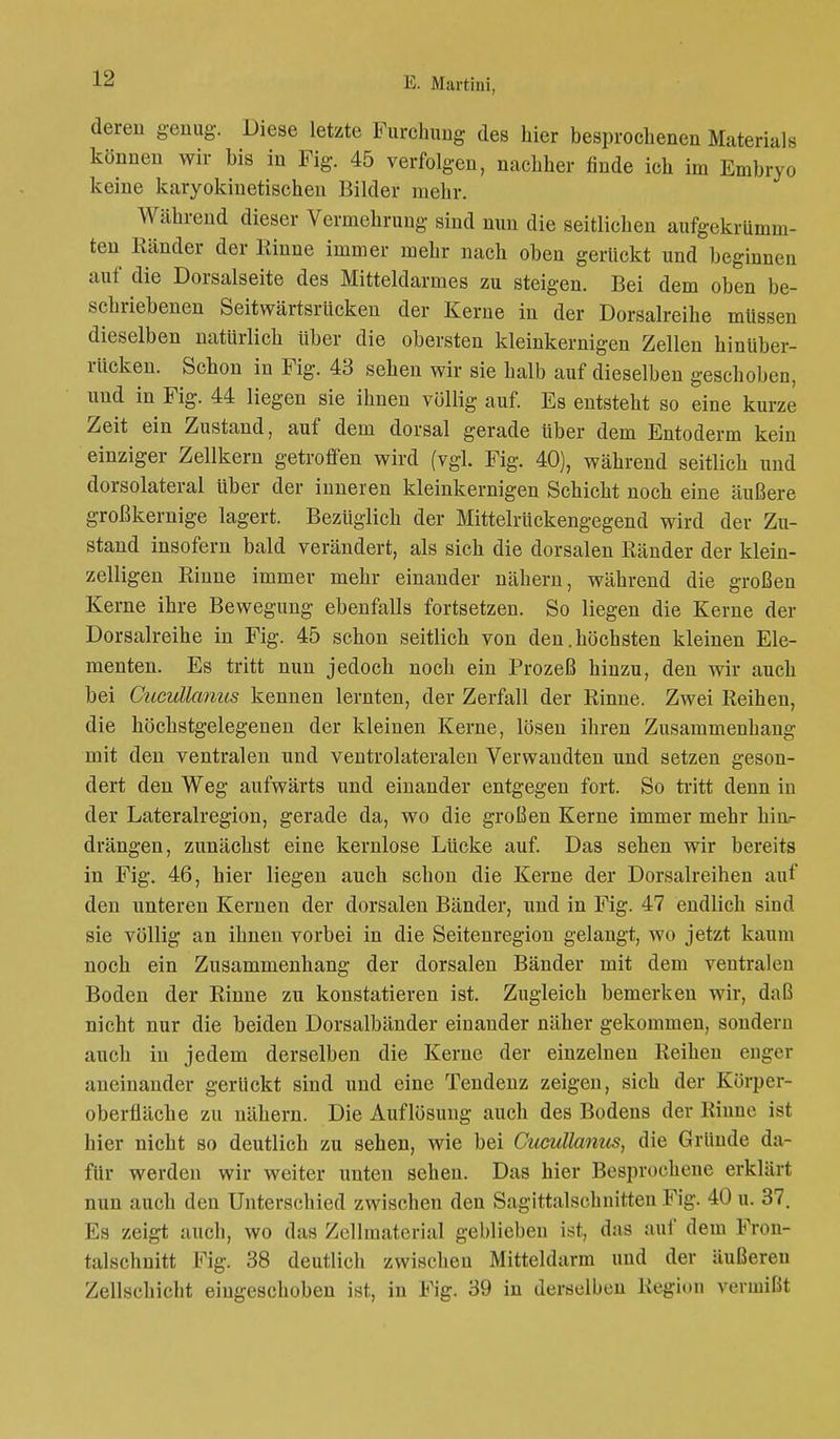 deren genug. Diese letzte Furchung des hier besprochenen Materials können wir bis in Fig. 45 verfolgen, nachher finde ich im Embryo keine karyokinetischen Bilder mehr. Während dieser Vermehrung sind nun die seitlichen aufgekrümm- ten Ränder der Rinne immer mehr nach oben gerückt und beginnen auf die Dorsalseite des Mitteldarmes zu steigen. Bei dem oben be- schriebenen Seitwärtsrucken der Kerne in der Dorsalreihe müssen dieselben natürlich über die obersten kleinkernigen Zellen hinüber- rücken. Schon in Fig. 43 sehen wir sie halb auf dieselben geschoben, und in Fig. 44 liegen sie ihnen völlig auf. Es entsteht so eine kurze Zeit ein Zustand, auf dem dorsal gerade Uber dem Entoderm kein einziger Zellkern getroffen wird (vgl. Fig. 40), während seitlich und dorsolateral über der inneren kleinkernigen Schicht noch eine äußere großkernige lagert. Bezüglich der Mittelrückengegend wird der Zu- stand insofern bald verändert, als sich die dorsalen Ränder der klein- zelligen Rinne immer mehr einander nähern, während die großen Kerne ihre Bewegung ebenfalls fortsetzen. So liegen die Kerne der Dorsalreihe in Fig. 45 schon seitlich von den.höchsten kleinen Ele- menten. Es tritt nun jedoch noch ein Prozeß hinzu, den wir auch bei Cucullanus kennen lernten, der Zerfall der Rinne. Zwei Reihen, die höchstgelegenen der kleinen Kerne, lösen ihren Zusammenhang mit den ventralen und ventrolateralen Verwandten und setzen geson- dert den Weg aufwärts und einander entgegen fort. So tritt denn in der Lateralregion, gerade da, wo die großen Kerne immer mehr hin- drängen, zunächst eine kernlose Lücke auf. Das sehen wir bereits in Fig. 46, hier liegen auch schon die Kerne der Dorsalreihen auf den unteren Kernen der dorsalen Bänder, und in Fig. 47 endlich sind sie völlig an ihnen vorbei in die Seitenregion gelangt, wo jetzt kaum noch ein Zusammenhang der dorsalen Bänder mit dem ventralen Boden der Rinne zu konstatieren ist. Zugleich bemerken wir, daß nicht nur die beiden Dorsalbänder einander näher gekommen, sondern auch in jedem derselben die Kerne der einzelnen Reihen enger aneinander gerückt sind und eine Tendenz zeigen, sich der Körper- oberfläche zu nähern. Die Auflösung auch des Bodens der Rinne ist hier nicht so deutlich zu sehen, wie bei Cucullanus, die Gründe da- für werden wir weiter unten seheu. Das hier Besprochene erklärt nun auch den Unterschied zwischen den Sagittalschnitten Fig. 40 u. 37. Es zeigt auch, wo das Zellmaterial geblieben ist, das auf dem Fron- talschnitt Fig. 38 deutlich zwischen Mitteldarm und der äußeren Zellschicht eingeschoben ist, in Fig. 39 in derselben Region vermißt