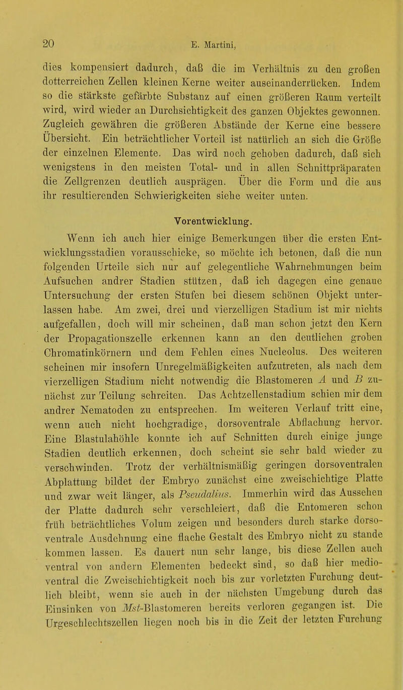 dies kompensiert dadurch, daß die im Verhältnis zu den großen dotterreichen Zellen kleinen Kerne weiter auseinanderrücken. Indem so die stärkste gefärbte Substanz auf einen größeren Raum verteilt wird, wird wieder an Durchsichtigkeit des ganzen Objektes gewonnen. Zugleich gewähren die größeren Abstände der Kerne eine bessere Übersicht. Ein beträchtlicher Vorteil ist natürlich an sich die Größe der einzelnen Elemente. Das wird noch gehoben dadurch, daß sich wenigstens in den meisten Total- und in allen Schnittpräparaten die Zellgrenzen deutlich ausprägen. Über die Form und die aus ihr resultierenden Schwierigkeiten siehe weiter unten. Vor ent wicklung. Wenn ich auch hier einige Bemerkungen Uber die ersten Ent- wicklungsstadien vorausschicke, so möchte ich betonen, daß die nun folgenden Urteile sich nur auf gelegentliche Wahrnehmungen beim Aufsuchen andrer Stadien stützen, daß ich dagegen eine genaue Untersuchung der ersten Stufen bei diesem schönen Objekt unter- lassen habe. Am zwei, drei und vierzelligen Stadium ist mir nichts aufgefallen, doch will mir scheinen, daß man schon jetzt den Kern der Propagationszelle erkennen kann an den deutlichen groben Chromatinkörnern und dem Fehlen eines Nucleolus. Des weiteren scheinen mir insofern Unregelmäßigkeiten aufzutreten, als nach dem vierzelligen Stadium nicht notwendig die Blastomeren A und B zu- nächst zur Teilung schreiten. Das Achtzellenstadium schien mir dem andrer Nematoden zu entsprechen. Im weiteren Verlauf tritt eine, wenn auch nicht hochgradige, dorsoventrale Abflachung hervor. Eine Blastulahöhle konnte ich auf Schnitten durch einige junge Stadien deutlich erkennen, doch scheint sie sehr bald wieder zu verschwinden. Trotz der verhältnismäßig geringen dorsoventralen Abplattung bildet der Embryo zunächst eine zweischichtige Platte und zwar weit länger, als Pseudalius. Immerhin wird das Aussehen der Platte dadurch sehr verschleiert, daß die Entomeren schon früh beträchtliches Volum zeigen und besonders durch starke dorso- ventrale Ausdehnung eine flache Gestalt des Embryo nicht zu stände kommen lassen. Es dauert nun sehr lange, bis diese Zellen mu h ventral von andern Elementen bedeckt sind, so daß hier medio- ventral die Zweischichtigkeit noch bis zur vorletzten Furchung deut- lich bleibt, wenn sie auch in der nächsten Umgebung durch das Einsinken von üfsWBlastomeren bereits verloren gegangen ist. Die Urgeschlechtszellen liegen noch bis in die Zeit der letzten Furchung