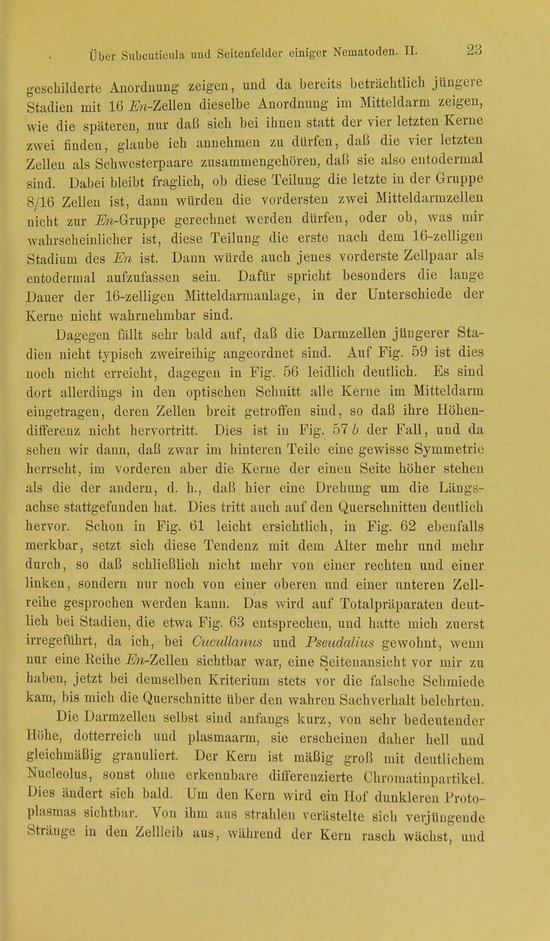 geschilderte Anordnung zeigen, und da bereits beträchtlich jüngere Stadien mit 16 ^-Zellen dieselbe Anordnung im Mitteldarm zeigen, wie die späteren, nur daß sich bei ihnen statt der vier letzten Kerne zwei finden, glaube ich annehmen zu dürfen, daß die vier letzten Zellen als Schwesterpaare zusammengehören, daß sie also entodermal sind. Dabei bleibt fraglich, ob diese Teilung die letzte in der Gruppe 8/16 Zellen ist, dann würden die vordersten zwei Mitteldarmzellen nicht zur ^-Gruppe gerechnet werden dürfen, oder ob, was mir wahrscheinlicher ist, diese Teilung die erste nach dem 16-zelligen Stadium des En ist. Dann würde auch jenes vorderste Zellpaar als entodermal aufzufassen sein. Dafür spricht besonders die lange Dauer der 16-zelligen Mitteldarmanlage, in der Unterschiede der Kerne nicht wahrnehmbar sind. Dagegen fällt sehr bald auf, daß die Darmzellen jüngerer Sta- dien nicht typisch zweireihig angeordnet sind. Auf Fig. 59 ist dies noch nicht erreicht, dagegen in Fig. 56 leidlich deutlich. Es sind dort allerdings in den optischen Schnitt alle Kerne im Mitteldarm eingetragen, deren Zellen breit getroffen sind, so daß ihre Höhen- differenz nicht hervortritt. Dies ist in Fig. 57 b der Fall, und da sehen wir dann, daß zwar im hinteren Teile eine gewisse Symmetrie herrscht, im vorderen aber die Kerne der einen Seite höher stehen als die der andern, d. h., daß hier eine Drehung um die Längs- achse stattgefunden hat. Dies tritt auch auf den Querschnitten deutlich hervor. Schon in Fig. 61 leicht ersichtlich, in Fig. 62 ebenfalls merkbar, setzt sich diese Tendenz mit dem Alter mehr und mehr durch, so daß schließlich nicht mehr von einer rechten und einer linken, sondern nur noch von einer oberen und einer unteren Zell- reihe gesprochen werden kann. Das wird auf Totalpräparaten deut- lich bei Stadien, die etwa Fig. 63 entsprechen, und hatte mich zuerst irregeführt, da ich, bei Cucullanus und Pseudalius gewohnt, wenn nur eine Reihe JEto-Zellen sichtbar war, eine Seitenansicht vor mir zu haben, jetzt bei demselben Kriterium stets vor die falsche Schmiede kam, bis mich die Querschnitte Uber den wahren Sachverhalt belehrten. Die Darmzellen selbst sind anfangs kurz, von sehr bedeutender Höhe, dotterreich und plasmaarm, sie erscheinen daher hell und gleichmäßig granuliert. Der Kern ist mäßig groß mit deutlichem Nucleolus, sonst ohne erkennbare differenzierte Chromatinpartikel. Dies ändert sich bald. Um den Kern wird ein Hof dunkleren Proto- plasmas sichtbar. Von ihm aus strahlen verästelte sich verjüngende Stränge in den Zellleib aus, während der Kern rasch wächst, und