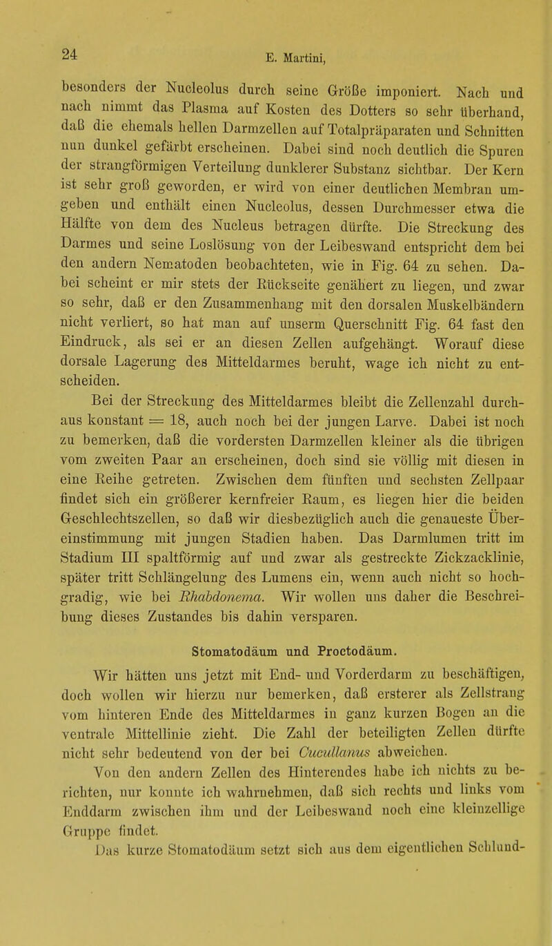 besonders der Nucleolus durch seine Größe imponiert. Nach und nach nimmt das Plasma auf Kosten des Dotters so sehr Uberhand, daß die ehemals hellen Darmzellen auf Totalpräparaten und Schnitten nun dunkel gefärbt erscheinen. Dabei sind noch deutlich die Spuren der strangförmigen Verteilung dunklerer Substanz sichtbar. Der Kern ist sehr groß geworden, er wird von einer deutlichen Membran um- geben und enthält einen Nucleolus, dessen Durchmesser etwa die Hälfte von dem des Nucleus betragen dürfte. Die Streckung des Darmes und seine Loslösung von der Leibeswand entspricht dem bei den andern Nematoden beobachteten, wie in Fig. 64 zu sehen. Da- bei scheint er mir stets der Eückseite genähert zu liegen, und zwar so sehr, daß er den Zusammenhang mit den dorsalen Muskelbändern nicht verliert, so hat man auf unserm Querschnitt Fig. 64 fast den Eindruck, als sei er an diesen Zellen aufgehängt. Worauf diese dorsale Lagerung des Mitteldarmes beruht, wage ich nicht zu ent- scheiden. Bei der Streckung des Mitteldarmes bleibt die Zellenzahl durch- aus konstant = 18, auch noch bei der jungen Larve. Dabei ist noch zu bemerken, daß die vordersten Darmzellen kleiner als die übrigen vom zweiten Paar an erscheinen, doch sind sie völlig mit diesen in eine Eeihe getreten. Zwischen dem fünften und sechsten Zellpaar findet sich ein größerer kernfreier Kaum, es liegen hier die beiden Geschlechtszellen, so daß wir diesbezüglich auch die genaueste Über- einstimmung mit jungen Stadien haben. Das Darmlumen tritt im Stadium Dil spaltförmig auf und zwar als gestreckte Zickzacklinie, später tritt Schlängelung des Lumens ein, wenn auch nicht so hoch- gradig, wie bei Rhabdonema. Wir wollen uns daher die Beschrei- bung dieses Zustandes bis dahin versparen. Stomatodäum und Proctodäum. Wir hätten uns jetzt mit End- und Vorderdarm zu beschäftigen, doch wollen wir hierzu nur bemerken, daß ersterer als Zellstrang- vom hinteren Ende des Mitteldarmes in ganz kurzen Bogen an die ventrale Mittellinie zieht. Die Zahl der beteiligten Zellen dürfte nicht sehr bedeutend von der bei Cucidlanus abweichen. Von den andern Zellen des Hinterendes habe ich nichts zu be- richten, nur konnte ich wahrnehmen, daß sich rechts und links vom Enddarm zwischen ihm und der Leibeswand noch eine kleinzellige Gruppe findet. Das kurze Stomatodäum setzt sich aus dem eigentlichen Schlund-