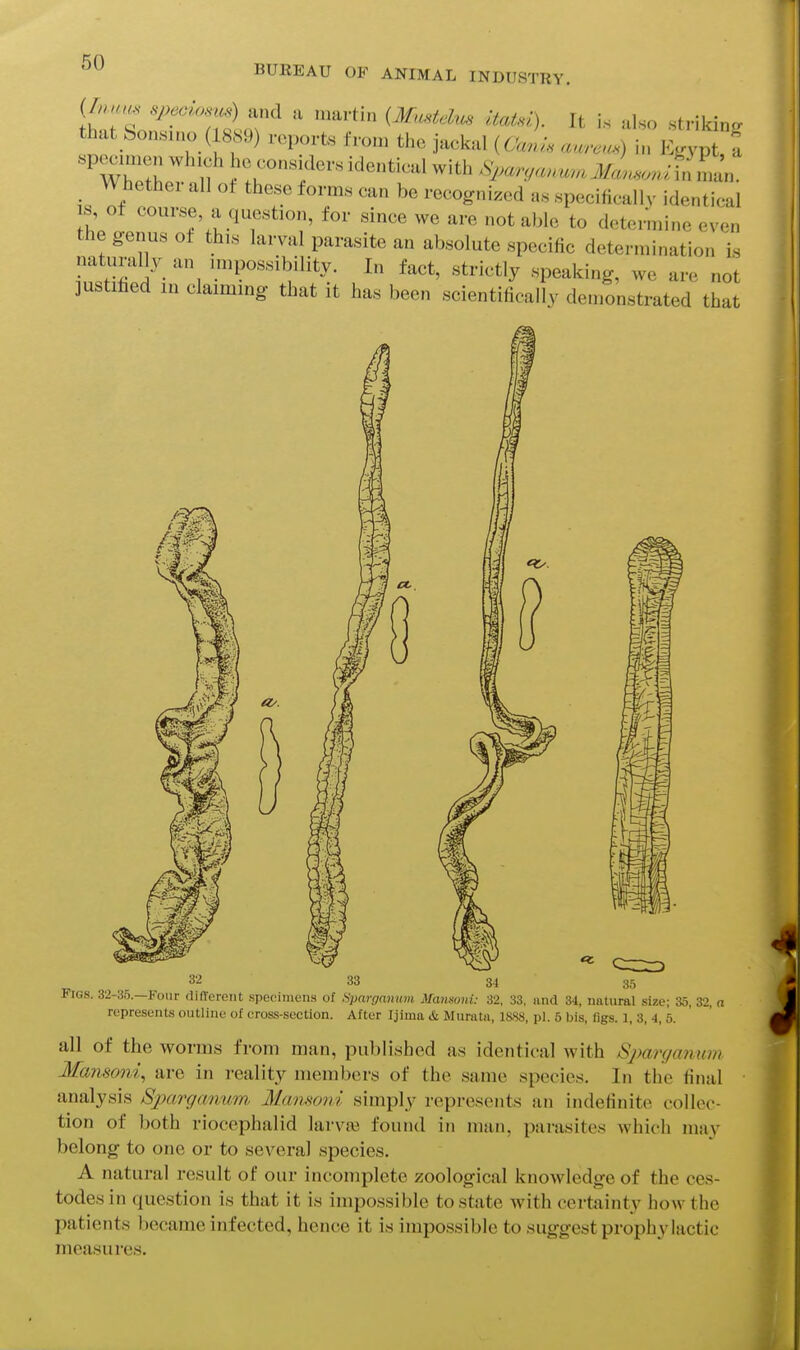 BUREAU OF ANIMAL INDUSTRY. (/.^,.,^s> speciosm) and a martin {Mmtehcs itats!). It is also strikino- hat Sons.no (1889) reports from the jackal (6W a....) Whether all ot these forms can be recognized as specifically identical s of course a question, for since we are not able to determine even the genus of this larval parasite an absolute specific determination is In fact, strictly speaking, we are not justified m claiming that it has been scientifically demonstrated that represents outline of cross-section. After Ijima & Muratn, 1S88, pi. 5 bis, figs. 1, 3, i, 5. all of the worms from man, published as identical with Sparganum Mamoni, are in reality members of the same species. In the final analysis Sparganxim Mmisoni simply represents an indefinite collec- tion of both riocephalid larvae found in man, parasites which may belong to one or to several species. A natural result of our incomplete zoological knowledge of the ces- todes in question is that it is impo,ssible to state with certainty how the patients became infected, hence it is impossible to suggest prophylactic measures.