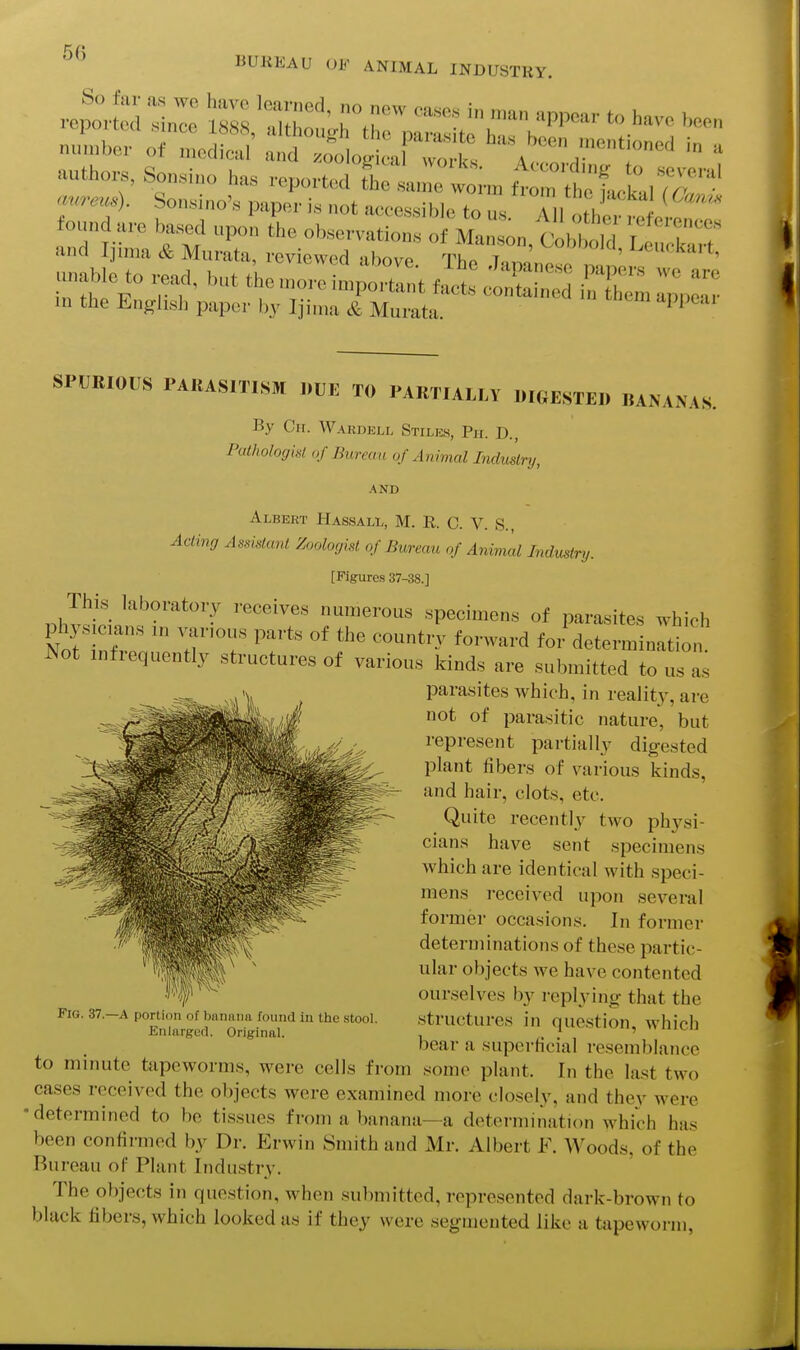 authors, So„»i„o has roport«! t\ a, o t™ ft^ttA iT^™' Sonsino's paper i» not accessible to u-< ^ '1 ^^^ found are based upon the observatiot o Ma, on 7 TV a.id Ijinm & Murata, reviewed above Thl T 'Le'-kart, in the Jinglish ijapor by Ijinia & Muiuta.  SPURIOUS PAHASITISM ..UE TO |.AKT.ALLV W«ESTE1. BANANA.S. By Cii. VVardell Stilkh, Ph. D., Pathologist of Bureau of Animal Indmlry, AND Albert Hassall, M. R. C. V. S., Acting Assistant Zoologist of Bureau of Animal Industry. [Figures 37-38.] This laboratory receives numerous specimens of parasites which physicians in various parts of the country forward foi determination. Not infrequently structures of various kinds are submitted to us a^ parasites which, in reality, are not of parasitic nature, but represent partially digested plant fibers of various kinds, and hair, clots, etc. Quite recentl}^ two phj'^si- cians have sent specimens which are identical with speci- mens received upon several former occasions. In former determinations of these partic- ular objects we have contented ■f ■ ourselves by replying that the Fig. 37.-A portion of banana found in the stool. structures in question whioh Enlarged. Original. , , ' ' bear a superficial resemblance to minute tapeworms, were cells from some plant. In the last two cases received the objects were examined more closely, and they were •determined to be tissues from a banana—a determination which has been confirmed by Dr. Erwin Smith and xMr. Albert F. Woods, of the Bureau of Plant Industry. The objects in question, when submitted, represented dark-brown to black fibers, which looked as if they were segmented like a tapeworm,
