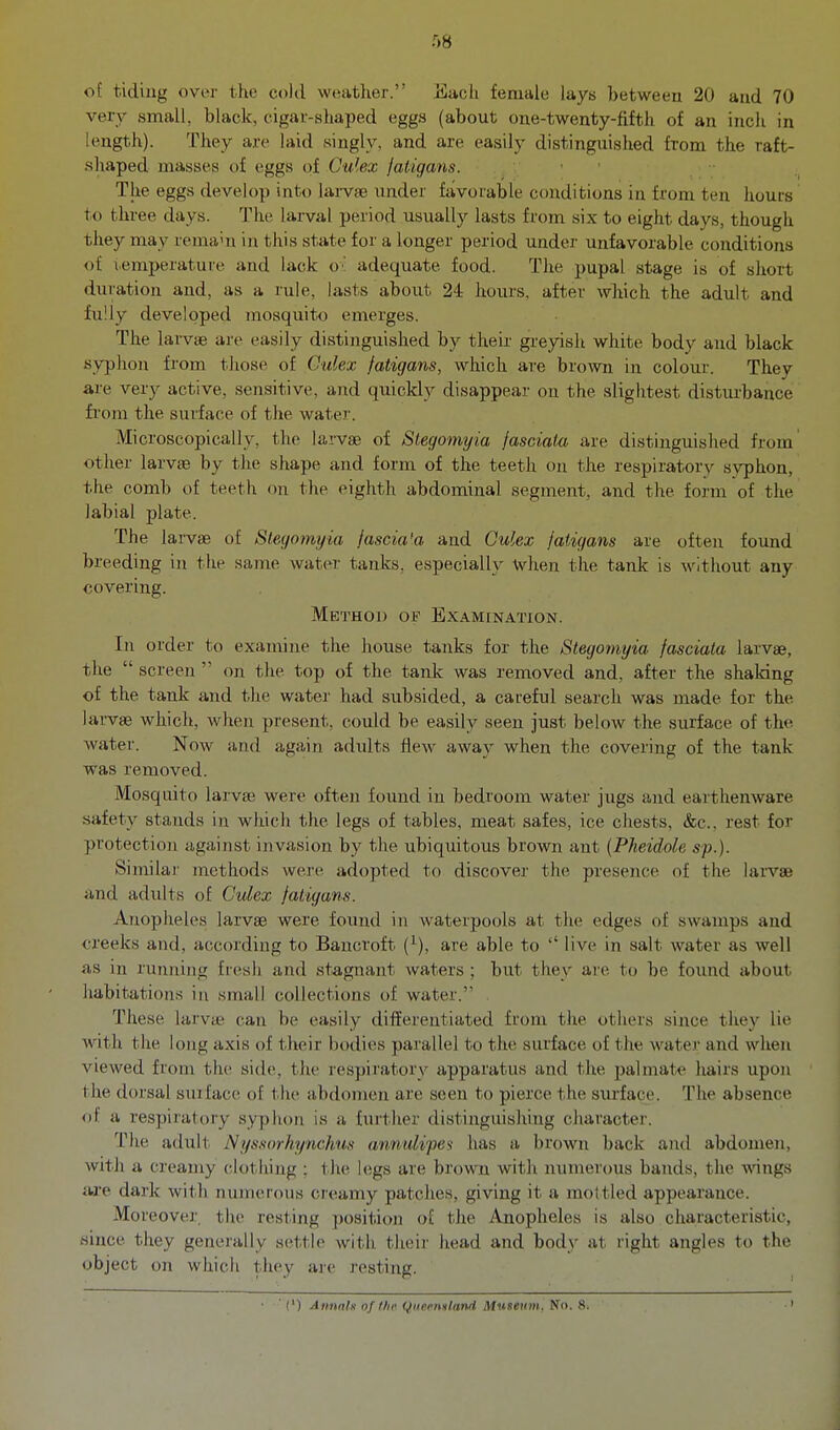 r)8 of tiding over the cold weather. Each female lays between 20 and 70 very small, black, cigar-shaped eggs (about one-twenty-fifth of an inch in length). They are laid singly, and are easily distinguished from the raft- shaped masses of eggs of Culex fatigans. ' The eggs develop into lai-vse under favorable conditions in from ten hours to three days. The lax-val period usually lasts from six to eight days, though they may remahi in this state for a longer period under unfavorable conditions of temperature and lack ox adequate food. The pupal stage is of short duration and, as a rule, lasts about 24 hours, after which the adult and fully developed mosquito emerges. The larvje are easily distinguished by their greyish white body and black syphon from those of Gulex fatigans, which are brown in colour. They are very active, sensitive, and quickly disappear on the slightest disturbance from the surface of the water. Microscopically, the larvae of Slegomyia jasciala are distinguished from other larvae by the shape and form of the teeth on the respiratory syphon, the comb of teeth on the eighth abdominal segment, and the form of the labial plate. The larvae of Slegomyia fascia'a and Culex jaiigans are often found breeding in the same water tanks, especially when the tank is without any covering. Method of Examination. In order to examine the house tanks for the Slegomyia fasciata larvae, the  screen  on the top of the tank was removed and, after the shaldng of the tank and the water had subsided, a careful search was made for the larvae which, when present, could be easily seen just below the surface of the water. Now and again adults flew away when the covering of the tank was removed. Mosquito larvae were often found in bedroom water jugs and earthenware safety stands in which the legs of tables, meat safes, ice chests, &c., rest for protection against invasion by the ubiquitous brown ant [Pheidole sp.). Similar methods were adopted to discover the presence of the larvae and adults of Culex fatigans. Anopheles larvae were found in waterpools at the edges of swamps and creeks and, according to Bancroft (^), are able to  live in salt water as well as in running fresh and stagnant waters ; but they are to be found about habitations in small collections of water.' These larvte can be easily differentiated from the others since they lie with the long axis of their bodies parallel to the surface of the water and when viewed from the side, the respiratory apparatus and the jialmate hairs upon the dorsal surface of the abdomen are seen to pierce the surface. The absence of a respiratory syphon is a further distinguishing character. The adult Nyssorhynchus annulipes has a brown back and abdomen, with a creamy clothing : the l(!gs are brown witli numerous bands, the wings are dark with numerous creamy patches, giving it a mottled appearance. Mo reover the resting position of the Anopheles is also characteristic, since they generally settle with their head and body at right angles to the object on which they aie resting. ' (') Annnts of the. Queensland Museum, No. 8. '