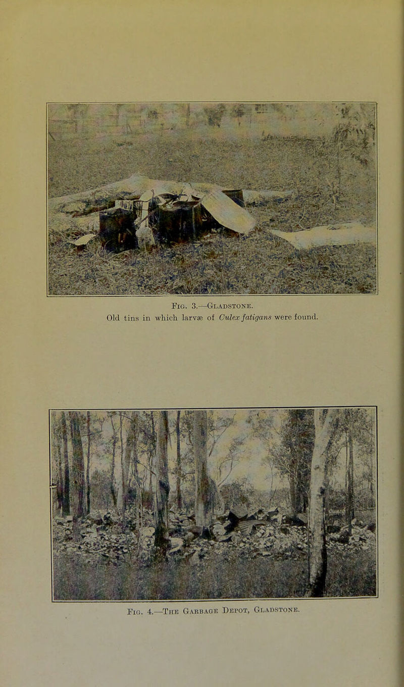 Fui. 4.—The Garbage Dei'ot, Gladstone.