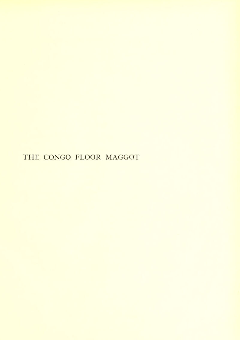 THE CONGO FLOOR MAGGOT