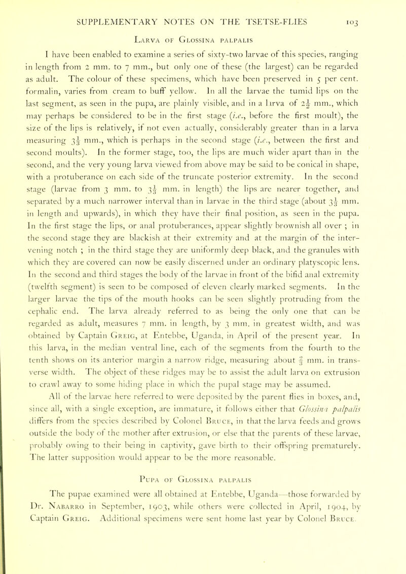 Larva of Glossina palpalis I have been enabled to examine a series of sixty-two larvae of this species, ranging in length from 2 mm. to 7 mm., but only one of these (the largest) can be regarded as adult. The colour of these specimens, which have been preserved in 5 per cent, formalin, varies from cream to buff yellow. In all the larvae the tumid lips on the last segment, as seen in the pupa, are plainly visible, and in a larva of 2^ mm., which may perhaps be considered to be in the first stage (i.e., before the first moult), the size of the lips is relatively, it not even actually, considerably greater than in a larva measuring 3^ mm., which is perhaps in the second stage (i.e., between the first and second moults). In the former stage, too, the lips are much wider apart than in the second, and the very young larva viewed from above may be said to be conical in shape, with a protuberance on each side of the truncate posterior extremity. In the second stage (larvae from 3 mm. to 3^ mm. in length) the lips are nearer together, and separated by a much narrower interval than in larvae in the third stage (about 3^- mm. in length and upwards), in which they have their final position, as seen in the pupa. In the first stage the lips, or anal protuberances, appear slightly brownish all over ; in the second stage they are blackish at their extremity and at the margin of the inter- vening notch ; in the third stage they are uniformly deep black, and the granules with which they are covered can now be easily discerned under an ordinary platyscopic lens. In the second and third stages the body of the larvae in front of the bifid anal extremity (twelfth segment) is seen to be composed of eleven clearly marked segments. In the larger larvae the tips of the mouth hooks can be seen slightly protruding from the cephalic end. The larva already referred to as being the only one that can be regarded as adult, measures 7 mm. in length, by 3 mm. in greatest width, and was obtained by Captain Greig, at Entebbe, Uganda, in April of the present year. In this larva, in the median ventral line, each of the segments from the fourth to the tenth shows on its anterior margin a narrow ridge, measuring about -j mm. in trans- verse width. The object of these ridges may be to assist the adult larva on extrusion to crawl away to some hiding place in which the pupal stage may be assumed. All of the larvae here referred to were deposited by the parent flies in boxes, and, since all, with a single exception, are immature, it follows either that Glossina palpalis differs from the species described by Colonel Bruce, in that the larva feeds and grows outside the body of the mother after extrusion, or else that the parents of these larvae, probably owing to their being in captivity, gave birth to their offspring prematurely. The latter supposition would appear to be the more reasonable. Pupa of Glossina palpalis The pupae examined were all obtained at Entebbe, Uganda—those forwarded by Dr. Nabarro in September, 1903, while others were collected in April, 1904, by Captain Greig. Additional specimens were sent home last year by Colonel Bruce,