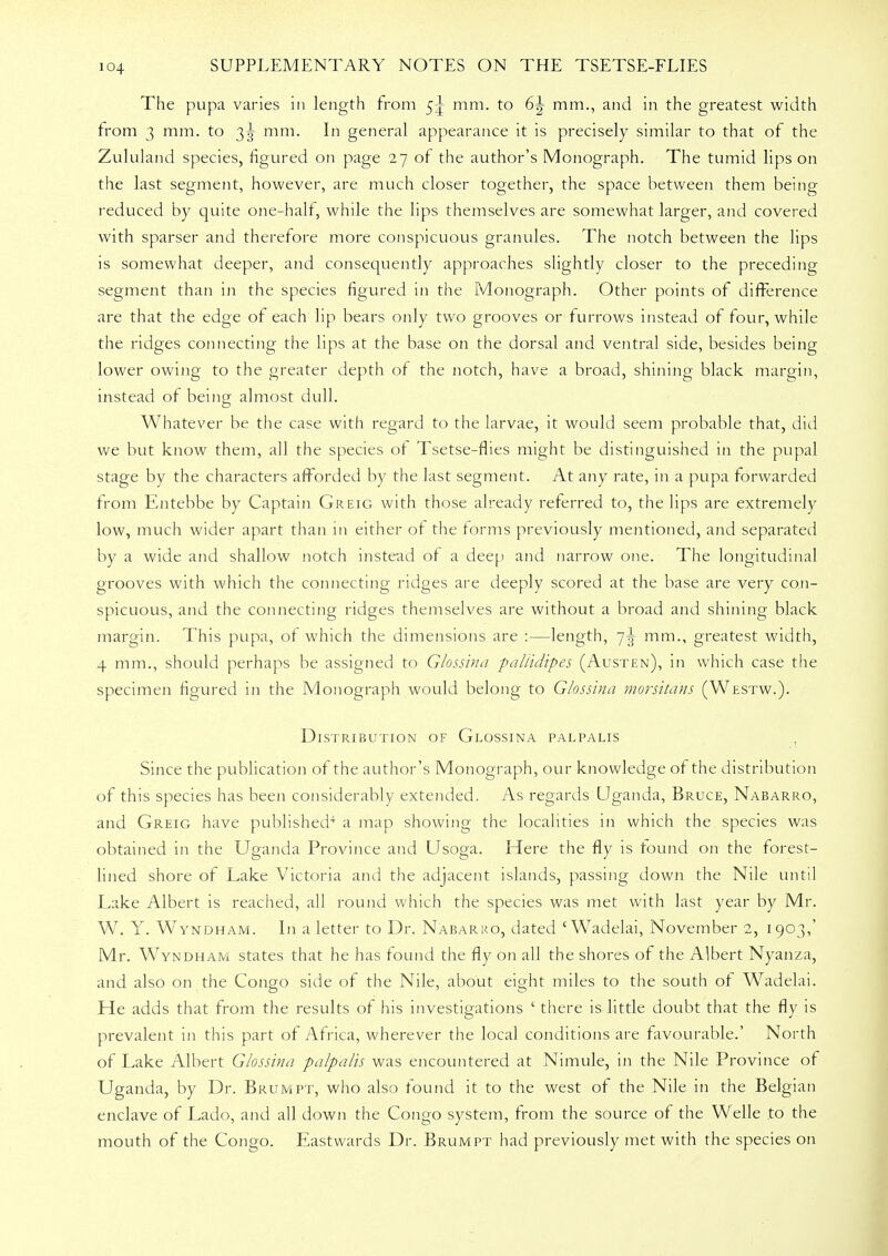 The pupa varies in length from 5^ mm. to mm., and in the greatest width from 3 mm. to 3^- mm. In general appearance it is precisely similar to that of the Zululand species, figured on page 27 of the author's Monograph. The tumid lips on the last segment, however, are much closer together, the space between them being reduced by quite one-half, while the lips themselves are somewhat larger, and covered with sparser and therefore more conspicuous granules. The notch between the lips is somewhat deeper, and consequently approaches slightly closer to the preceding segment than in the species figured in the Monograph. Other points of difference are that the edge of each lip bears only two grooves or furrows instead of four, while the ridges connecting the lips at the base on the dorsal and ventral side, besides being lower owing to the greater depth of the notch, have a broad, shining black margin, instead of being almost dull. Whatever be the case with regard to the larvae, it would seem probable that, did we but know them, all the species of Tsetse-flies might be distinguished in the pupal stage by the characters afforded by the last segment. At any rate, in a pupa forwarded from Entebbe by Captain Greig with those already referred to, the lips are extremely low, much wider apart than in either of the forms previously mentioned, and separated by a wide and shallow notch instead of a deep and narrow one. The longitudinal grooves with which the connecting ridges are deeply scored at the base are very con- spicuous, and the connecting ridges themselves are without a broad and shining black margin. This pupa, of which the dimensions are :—length, 7^ mm., greatest width, 4 mm., should perhaps be assigned to Glossina pallidipes (Austen), in which case the specimen figured in the Monograph would belong to Glossina morsitans (Westw.). Distribution of Glossina palpalis Since the publication of the author's Monograph, our knowledge of the distribution of this species has been considerably extended. As regards Uganda, Bruce, Nabarro, and Greig have published4 a map showing the localities in which the species was obtained in the Uganda Province and Usoga. Here the fly is found on the forest- lined shore of Lake Victoria ami the adjacent islands, passing down the Nile until Lake Albert is reached, all round which the species was met with last year by Mr. W. Y. Wyndham. In a letter to Dr. Nabarro, dated 'Wadelai, November 2, 1903,' Mr. Wyndham states that he has found the fly on all the shores of the Albert Nyanza, and also on the Congo side of the Nile, about eight miles to the south of Wadelai. He adds that from the results of his investigations ' there is little doubt that the fly is prevalent in this part of Africa, wherever the local conditions are favourable.' North of Lake Albert Glossina palpalis was encountered at Nimule, in the Nile Province of Uganda, by Dr. Brumpt, who also found it to the west of the Nile in the Belgian enclave of Lado, and all down the Congo system, from the source of the Welle to the mouth of the Congo. Eastwards Dr. Brumpt had previously met with the species on