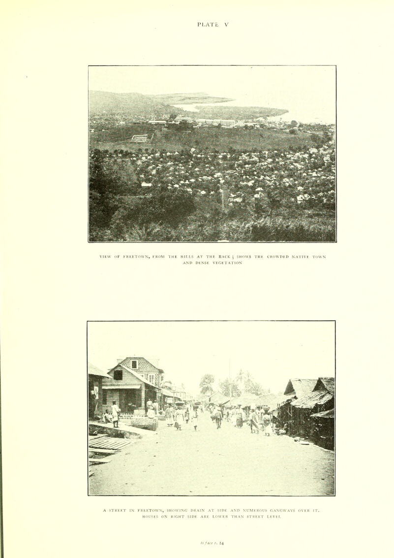 VIEW OF FREETOWN, FROM THE HILLS AT THE BACK ; SHOWS THE CROWDED NATIVE TOWN AND DENSE VEGETATION A STREET IN FREETOWN, SHOWING DRAIN AT SIDE AND NUMEROUS GANGWAYS OVER IT. HOUSES ON RIGHT SIDE ARE LOWER THAN STREET LEVEL