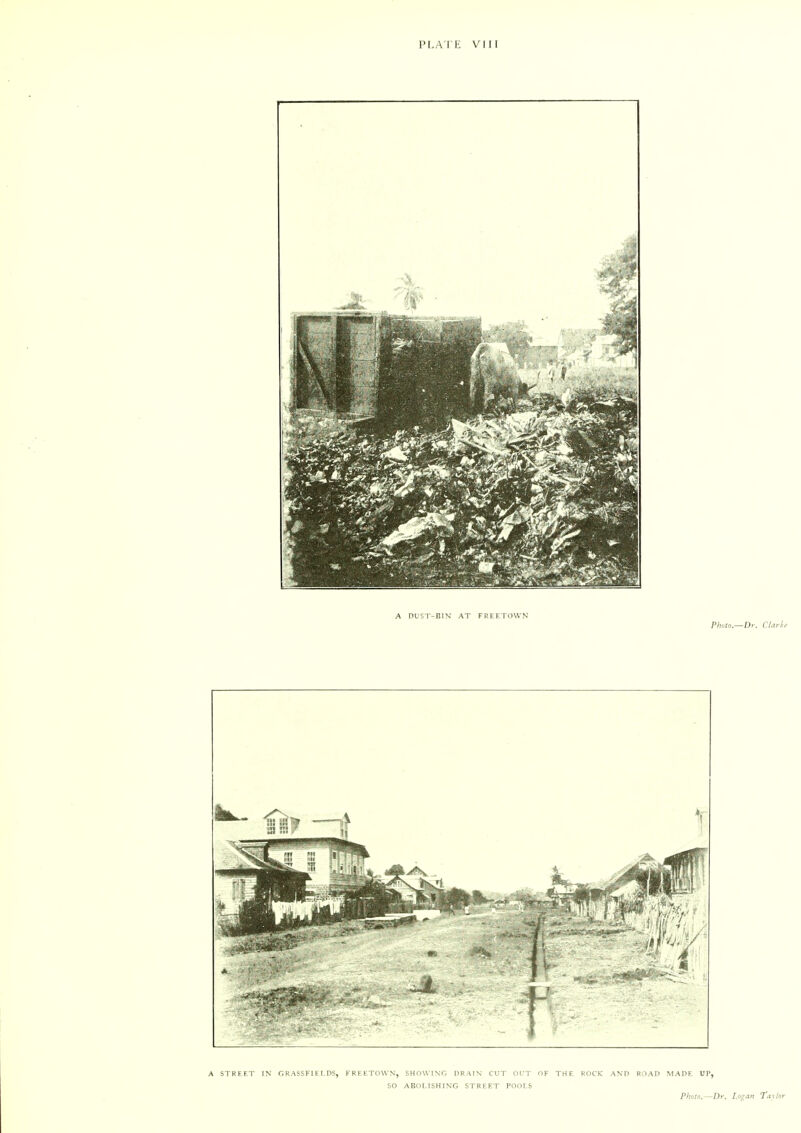 PLATE VIIT A STREET IN GRASSFIELDS, FREETOWN, SHOWING DRAIN CUT Ol'T OF THE ROCK AND ROAD MADE UP, SO ABOLISHING STREET POOLS Photo.—Dr. Logan Tavior