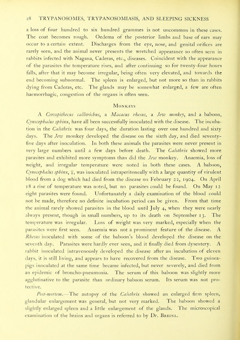 a loss of four hundred to six hundred grammes is not uncommon in these cases. The coat becomes rough. Oedema of the posterior limbs and base of ears may occur to a certain extent. Discharges from the eye, nose, and genital orifices are rarely seen, and the animal never presents the wretched appearance so often seen in rabbits infected with Nagana, Caderas, etc., diseases. Coincident with the appearance of the parasites the temperature rises, and after continuing so for twenty-four hours falls, after that it may become irregular, being often very elevated, and towards the end becoming subnormal. The spleen is enlarged, but not more so than in rabbits dying from Caderas, etc. The glands may be somewhat enlarged, a tew are often haemorrhagic, congestion of the organs is often seen. Monkeys A Cercopithecus cal/itrichus, a Macacus rhesus, a Jew monkey, and a baboon, Cynocephalus sphinx, have all been successfully inoculated with the disease. The incuba- tion in the Calothrix was four days, the duration lasting over one hundred and sixty days. The Jew monkey developed the disease on the sixth day, and died seventy- five days after inoculation. In both these animals the parasites were never present in very large numbers until a few days before death. The Calothrix showed more parasites and exhibited more symptoms than did the Jew monkey. Anaemia, loss of weight, and irregular temperature were noted in both these cases. A baboon, Cynocephalus sphinx, was inoculated intraperitoneally with a large quantity of virulent blood from a dog which had died from the disease on February 22, 1904. On April 18 a rise of temperature was noted, but no parasites could be found. On May 12 eight parasites were found. Unfortunately a daily examination of the blood could not be made, therefore no definite incubation period can be given. From that time the animal rarely showed parasites in the blood until July 4, when they were nearly .always present, though in small numbers, up to its death on September 13. The temperature was irregular. Loss of weight was very marked, especially when the parasites were first seen. Anaemia was not a prominent feature of the disease. A Rhesus inoculated with some of the baboon's blood developed the disease on the seventh day. Parasites were hardlv ever seen, and it finally died from dysentery. A rabbit inoculated intravenously developed the disease after an incubation of eleven days, it is still living, and appears to have recovered from the disease. Two guinea- pigs inoculated at the same time became infected, but never severely, and died from an epidemic of broncho-pneumonia. The serum of this baboon was slightly more agglutinative to the parasite than ordinary baboon serum. Its serum was not pro- tective. Post-mortem.—The autopsy of the Calothrix showed an enlarged firm spleen, glandular enlargement was general, but not very marked. The baboon showed a slightly enlarged spleen and a little enlargement of the glands. The microscopical examination of the brains and organs is referred to by Dr. Breinl.