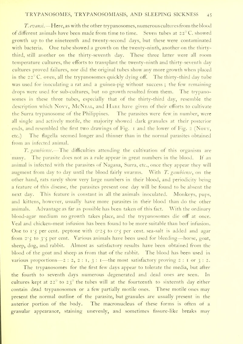 T. evansi, —Here, as with the other trypanosomes, numerous cultures from the blood of different animals have been made from time to time. Seven tubes at 22° C. showed growth up to the nineteenth and twenty-second days, but these were contaminated with bacteria. One tube showed a growth on the twenty-ninth, another on the thirty- third, still another on the thirty-seventh day. These three latter were all room temperature cultures, the efforts to transplant the twenty-ninth and thirty-seventh day cultures proved failures, nor did the original tubes show any more growth when placed in the 22° C. oven, all the trypanosomes quickly dying off. The thirty-third day tube was used for inoculating a rat and a guinea-pig without success ; the tew remaining drops were used for sub-cultures, but no growth resulted from them. The trypano- somes in these three tubes, especially that of the thirty-third day, resemble the description which Now, McNeal, and Hare have given of their efforts to cultivate the Surra trypanosome of the Philippines. The parasites were few in number, were all single and actively motile, the majority showed dark granules at their posterior ends, and resembled the first two drawings of Fig. 1 and the lower of Fig. 2 (Now, etc.) The flagella seemed longer and thinner than in the normal parasites obtained from an infected animal. T. gamblense.—The difficulties attending the cultivation of this organism are many. The parasite does not as a rule appear in great numbers in the blood. If an animal is infected with the parasites of Nagana, Surra, etc., once they appear they will augment from day to day until the blood fairly swarms. With T. gambiense, on the other hand, rats rarely show very large numbers in their blood, and periodicity being a feature of this disease, the parasites present one day will be found to be absent the next day. This feature is constant in all the animals inoculated. Monkeys, pups, and kittens, however, usually have more parasites in their blood than do the other animals. Advantage as far as possible has been taken of this fact. With the ordinary blood-agar medium no growth takes place, and the trypanosomes die off at once. Veal and chicken-meat infusion has been found to be more suitable than beet infusion. One to 1*5 per cent, peptone with 0*25 to 0-5 per cent, sea-salt is added and agar from 2*5 to 3*5 per cent. Various animals have been used for bleeding—horse, goat, sheep, dog, and rabbit. Almost as satisfactory results have been obtained from the blood of the goat and sheep as from that of the rabbit. The blood has been used in various proportions—2 : 2, 2 : 1, 3 : 1—the most satisfactorv proving 2 : 1 or 3 : 2. The trypanosomes tor the first few days appear to tolerate the media, but after the fourth to seventh days numerous degenerated and dead ones are seen. In cultures kept at 22° to 230 the tubes will at the fourteenth to sixteenth day either contain dead trypanosomes or a tew partially motile ones. These motile ones may present the normal outline of the parasite, but granules are usually present in the anterior portion of the body. The macronucleus of these forms is often of a granular appearance, staining unevenly, and sometimes fissure-like breaks may