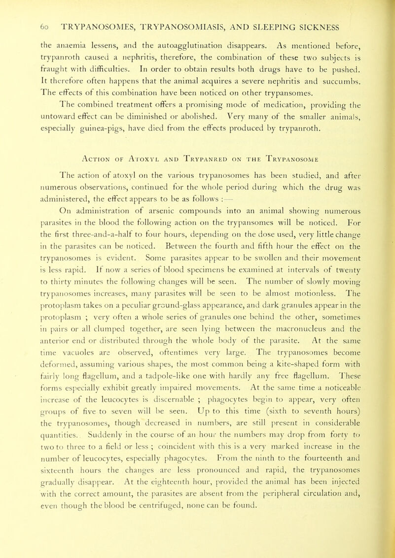 the anaemia lessens, and the autoagglutination disappears. As mentioned before, trypan roth caused a nephritis, therefore, the combination of these two subjects is fraught with difficulties. In order to obtain results both drugs have to be pushed. It therefore often happens that the animal acquires a severe nephritis and succumbs. The effects of this combination have been noticed on other trypansomes. The combined treatment offers a promising mode of medication, providing the untoward effect can be diminished or abolished. Very many of the smaller animals, especially guinea-pigs, have died from the effects produced by trypanroth. Action of Atoxyl and Trypanred on the Trypanosome The action of atoxyl on the various trypanosomes has been studied, and after numerous observations, continued for the whole period during which the drug was administered, the effect appears to be as follows : — On administration of arsenic compounds into an animal showing numerous parasites in the blood the following action on the trypansomes will be noticed. For the first three-and-a-half to four hours, depending on the dose used, very little change in the parasites can be noticed. Between the fourth and fifth hour the effect on the trypanosomes is evident. Some parasites appear to be swollen and their movement is less rapid. If now a series of blood specimens be examined at intervals of twenty to thirty minutes the following changes will be seen. The number of slowly moving trypanosomes increases, many parasites will be seen to be almost motionless. The protoplasm takes on a peculiar ground-glass appearance, and dark granules appear in the protoplasm ; very often a whole series of granules one behind the other, sometimes in pairs or all clumped together, are seen lying between the macronucleus and the anterior end or distributed through the whole body of the parasite. At the same time vacuoles are observed, oftentimes very large. The trypanosomes become deformed, assuming various shapes, the most common being a kite-shaped form with fairly long flagellum, and a tadpole-like one with hardly any free flagellum. These forms especially exhibit greatly impaired movements. At the same time a noticeable increase of the leucocytes is discernable ; phagocytes begin to appear, very often groups of five to seven will be seen. Up to this time (sixth to seventh hours) the trypanosomes, though decreased in numbers, are still present in considerable quantities. Suddenly in the course of an hour the numbers may drop from forty to two to three to a field or less ; coincident with this is a very marked increase in the number of leucocytes, especially phagocytes. From the ninth to the fourteenth and sixteenth hours the changes are less pronounced and rapid, the trypanosomes gradually disappear. At the eighteenth hour, provided the animal has been injected with the correct amount, the parasites are absent from the peripheral circulation and, even though the blood be centrifuged, none can be found.