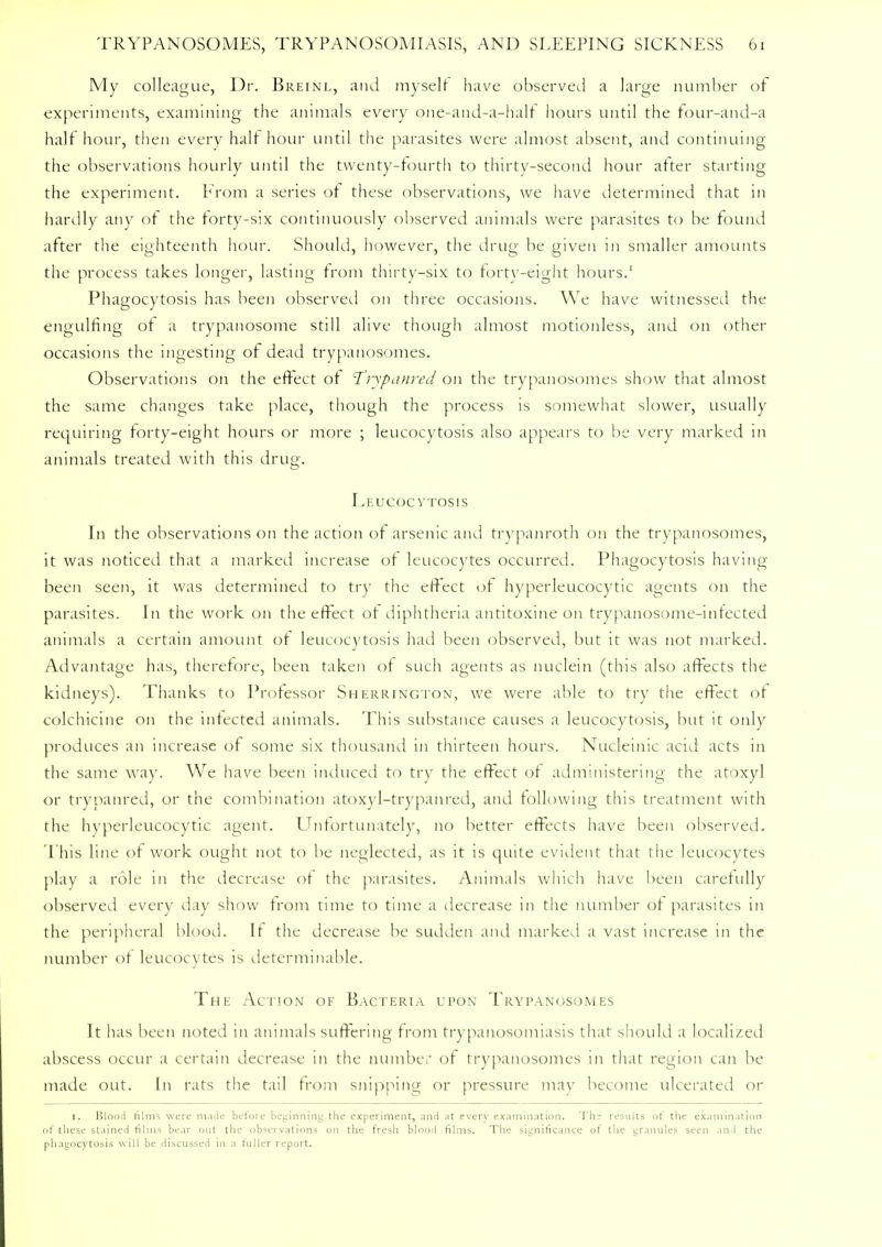My colleague, Dr. Breinl, and myself have observed a large number of experiments, examining the animals every one-and-a-half hours until the four-and-a half hour, then every halt hour until the parasites were almost absent, and continuing the observations hourly until the twenty-fourth to thirty-second hour after starting the experiment. From a series of these observations, we have determined that in hardly any of the forty-six continuously observed animals were parasites to be found after the eighteenth hour. Should, however, the drug be given in smaller amounts the process takes longer, lasting from thirty-six to forty-eight hours.1 Phagocytosis has been observed on three occasions. We have witnessed the engulfing of a trypanosome still alive though almost motionless, and on other occasions the ingesting of dead trypanosomes. Observations on the effect of 1'rypanred on the trypanosomes show that almost the same changes take place, though the process is somewhat slower, usually requiring forty-eight hours or more ; leucocytosis also appears to be very marked in animals treated with this drug. Leucoc vtosis In the observations on the action of arsenic and trypanroth on the trypanosomes, it was noticed that a marked increase of leucocytes occurred. Phagocytosis having been seen, it was determined to try the effect of hyperleucocytic agents on the parasites. In the work on the effect of diphtheria antitoxine on trypanosome-infected animals a certain amount of leucocytosis had been observed, but it was not marked. Advantage has, therefore, been taken of such agents as nuclein (this also affects the kidneys). Thanks to Professor Sherrington, we were able to try the effect of colchicine on the infected animals. This substance causes a leucocytosis, but it only produces an increase of some six thousand in thirteen hours. Nucleinic acid acts in the same way. We have been induced to try the effect of administering the atoxyl or trypanred, or the combination atoxyl-trypanred, and following this treatment with the hyperleucocytic agent. Unfortunately, no better effects have been observed. This line of work ought not to be neglected, as it is quite evident that the leucocytes play a role in the decrease of the parasites. Animals which have been carefully observed every day show from time to time a decrease in the number of parasites in the peripheral blood. It the decrease be sudden and marked a vast increase in the number of leucocytes is determinable. The Action of Bacteria upon Trypanosomes It has been noted in animals suffering from trypanosomiasis that should a localized abscess occur a certain decrease in the number of trypanosomes in that region can be made out. In rats the tail from snipping or pressure may become ulcerated or i. Hlood films were made before beginning the experiment, and at every examination. The results or' the examination of these stained films bear out the observations on the fresli blood films. The significance of the granules seen and the phagocytosis will be discussed in a fuller report.