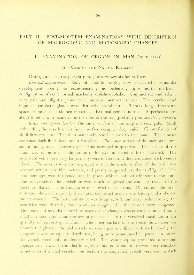 PART II. POST-MORTEM EXAMINATIONS WITH DESCRIPTION OF MACROSCOPIC AND MICROSCOPIC CHANGES I. EXAMINATION OF ORGANS IN MAN (four cases) A.—Case of the Native, Kitambo Death, June 12, 1904, eight p.m. ; post-mortem six hours later. External appearances.—Body or middle height, very emaciated ; muscular development poor ; no exanthemata ; no oedema ; rigor mortis marked ; configuration of skull normal, markedly dolicho-cephalic. Conjunctivae and sclerae very pale and slightly jaundiced ; mucous membranes pale. The cervical and inguinal lymphatic glands were distinctly prominent. Thorax long ; intercostal spaces prominent ; abdomen retracted. External genitals normal. Superficial ulcers about three cm. in diameter on the soles of the feet (probably produced by chiggers). Brain and Spinal Cord.—The under surface of the scalp was very pale. Skull rather thin, the vessels on its inner surface occupied deep sulci. Circumference ot skull fifty-two cm. The dura mater adherent in places to the bone. The sinuses contained dark fluid blood and a few clots. The inner surface of the membrane was smooth and glossy. Cerebro-spinal fluid increased in quantity. The surface of the brain was of normal configuration ; the gyri appeared a little flattened. The superficial veins were very large, many were tortuous and they contained dark venous blood. The arteries were also engorged so that the whole surface ot the brain was covered with a dark blue network, and greatly congested capillaries (Fig. 1). The leptomeninges were thickened, and in places whitish but not adherent to the brain. The pial vessels of the cerebellum were much congested and could be traced to the finest capillaries. The basal arteries showed no sclerosis. On section the brain substance showed irregularly distributed congested areas ; the basal ganglia showed puncta cruenta. The brain substance was doughy, soft, and very oedematous ; the ventricles were dilated ; the ependyma roughened ; the vessels very congested. The pons and medulla showed no macroscopic changes except congestion and some small haemorrhages about the size of pin heads. In the vertebral canal was a fair quantity of cerebro-spinal fluid.- The inner surface of the spinal dura mater was smooth and glossy ; the pial vessels were enlarged and filled with dark blood ; the congestion was not equally distributed, being more pronounced in parts ; in others the vessels were only moderately filled. The cauda equina presented a striking- appearance ; it was surrounded by a gelatinous tissue and its nerves were sheathed in networks ot dilated vessels ; on section the congested vessels were seen as dark 7 o