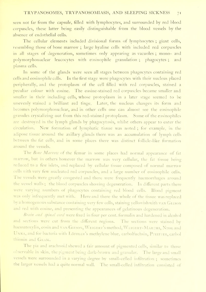 seen not far from the capsule, filled with lymphocytes, and surrounded by red blood corpuscles, these latter being easily distinguishable from the blood vessels by the absence of endothelial cells. The cellular elements included divisional forms of lymphocytes ; giant cells, resembling those of bone marrow ; large hyaline cells with included red corpuscles m all stages of degeneration, sometimes only appearing as vacuoles ; mono- and polymorphonuclear leucocytes with eosinophile granulation ; phagocytes ; and plasma cells. In some of the glands were seen all stages between phagocytes containing red cells and eosinophile cells. In the first stage were phagocytes with their nucleus placed peripherally, and the protoplasm of the cell filled with red corpuscles, stained a peculiar colour with eosine. The eosine-stained red corpuscles became smaller and smaller 111 their including cells, whose protoplasm in a later stage seemed to be unevenly stained a brilliant red tinge. Later, the nucleus changes its form and becomes polymorphonuclear, and in other cells one can almost see the eosinophile granules crystalizing out from this red-stained protoplasm. Some of the eosinophiles are destroyed in the lymph glands by phagocytosis, whilst others appear to enter the circulation. New formation of lymphatic tissue was noted ; for example, in the adipose tissue around the axillary glands there was an accumulation of lymph cells between the tat cells, and in some places there was distinct follicle-like formation around the vessels. The Bone Marrow of the femur in some places had normal appearance of fat marrow, but in others however the marrow was very cellular, the fat tissue being reduced to a tew islets, and replaced In- cellular tissue composed of norma! marrow (.ells with very tew nucleated red corpuscles, and a large number of eosinophile cells. I he vessels were greatly congested and there were frequently haemorrhages around the vessel walls ; the blood corpuscles showing degeneration. In different parts there were varying numbers of phagocytes containing red blood cells. Blood pigment was only infrequently met with. Here and there the whole of the tissue was replaced bya homogenous substance containing very tew cells, staining yellowish with van Gieson and red with eosine, ami presenting the appearances of gelatinous degeneration. Brain and spina/ cord were fixed in tour per cent, formalin and hardened in alcohol and sections were cut from the different regions. The sections were stained by haematoxylin, eosin ami van Gieson, Weigert's method, Weigert-Marchi, NissLand Unna, and for bacteria with Loffler's methylene blue, carbolfuchsin, Pfeiffer, carbol thionin and Gram. I he pia and arachnoid shewed a fair amount of pigmented cells, similar to those observable in skin, the pigment being dark-brown and granular. The large and small vessels were surrounded in a varying degree by small-celled infiltration ; sometimes the larger vessels had a quite normal wall. The small-celled infiltration consisted of