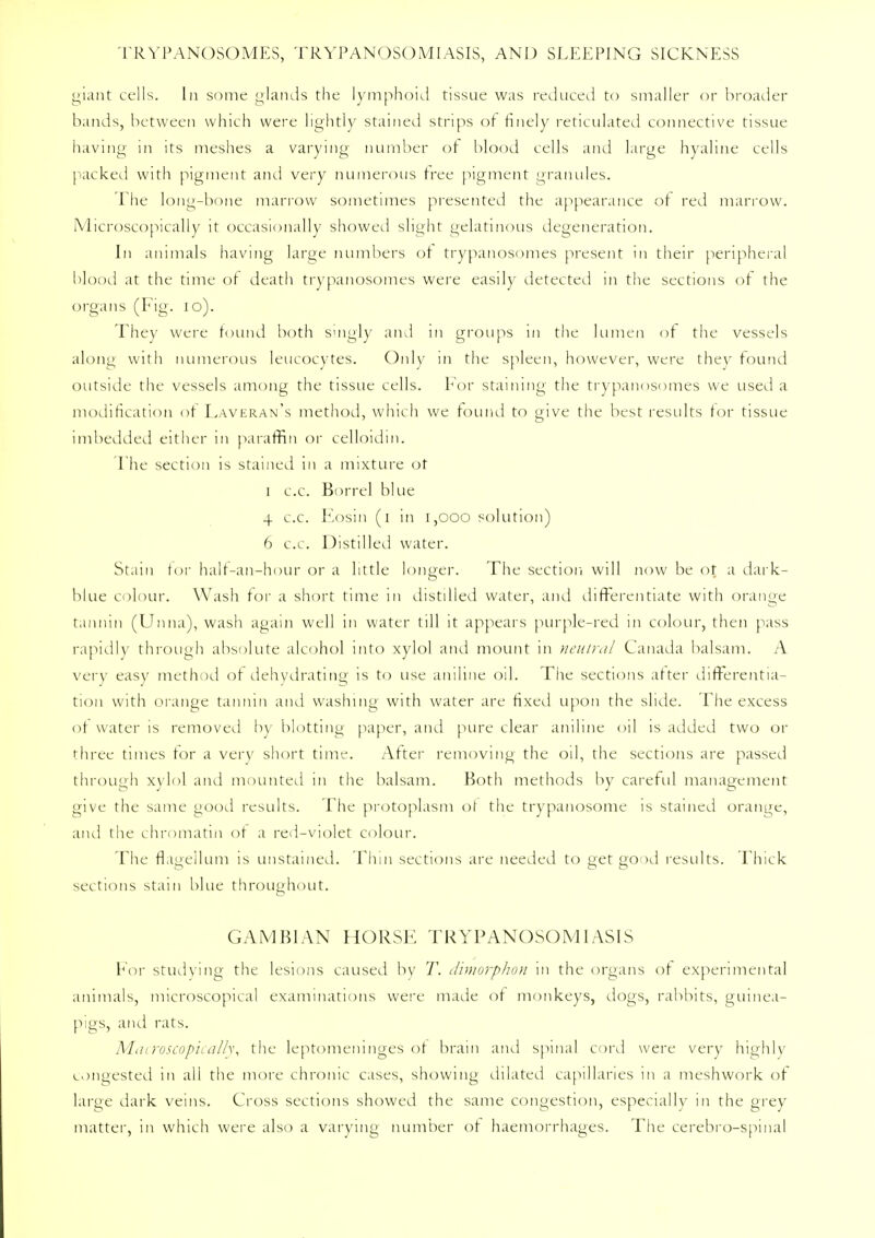 giant cells. In some glands the lymphoid tissue was reduced to smaller or broader bands, between which were lightly stained strips of finely reticulated connective tissue having in its meshes a varying number ot blood cells and large hyaline cells packed with pigment and very numerous tree pigment granules. The long-bone marrow sometimes presented the appearance ot red marrow. Microscopically it occasionally showed slight gelatinous degeneration. In animals having large numbers of trypanosomes present in their peripheral blood at the time of death trypanosomes were easily detected in the sections of the organs (Fig. 10). They were found both singly and in groups in the lumen of the vessels along with numerous leucocytes. Only in the spleen, however, were they found outside the vessels among the tissue cells. For staining the trypanosomes we used a modification of Laveran's method, which we found to give the best results for tissue imbedded either in paraffin or celloidin. The section is stained in a mixture ot i c.c. Borrel blue 4 c.c. Eosin (i in 1,000 solution) 6 c.c. Distilled water. Stain tor half-an-hour or a little longer. The section will now be ot a dark- blue colour. Wash for a short time in distilled water, and differentiate with orange tannin (Unna), wash again well in water till it appears purple-red in colour, then pass rapidly through absolute alcohol into xylol and mount in neutral Canada balsam. A very easy method of dehydrating is to use aniline oil. The sections after differentia- tion with orange tannin and washing with water are fixed upon the slide. The excess of water is removed by blotting paper, and pure clear aniline oil is added two or three times tor a very short time. After removing the oil, the sections are passed through xylol and mounted in the balsam. Both methods by careful management give the same good results. The protoplasm of the trypanosome is stained orange, and the chromatin of a red-violet colour. The flagellum is unstained. Thin sections are needed to get good results. Thick sections stain blue throughout. GAM BI AN HORSE TRYPANOSOMIASIS For studying the lesions caused by T. dimorphon in the organs of experimental animals, microscopical examinations were made of monkeys, dogs, rabbits, guinea- pigs, and rats. Mcuroscopicallx, the leptomeninges of brain and spinal cord were very highly congested in all the more chronic cases, showing dilated capillaries in a meshwork of large dark veins. Cross sections showed the same congestion, especially in the grey matter, in which were also a varying number of haemorrhages. The cerebro-spinal