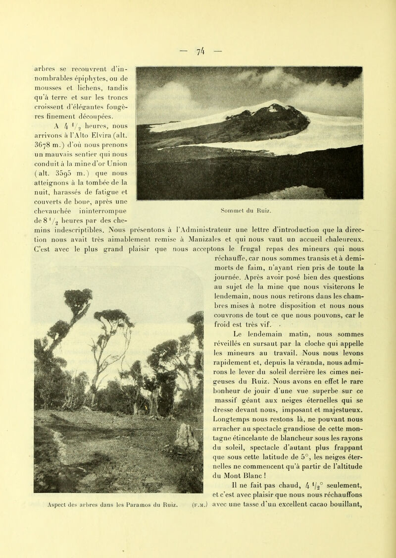 arbres se recouvrent d’in- nombrables épiphvtes, ou de mousses et lichens, tandis qu’à terre et sur les troncs croissent d'élégantes fougè- res finement découpées. A 4 Vo heures, nous arrivons à l’Alto Elvira(alt. 3678 m.) d’où nous prenons un mauvais sentier qui nous conduit à la mined’or Union (ait. 35g5 m.) que nous atteignons à la tombée de la nuit, harassés de fatigue et couverts de boue, après une chevauchée ininterrompue Sommet du Ruiz. de8V2 heures par des che- mins indescriptibles. Nous présentons à l’Administrateur une lettre d’introduction que la direc- tion nous avait très aimablement remise à Manizales et qui nous vaut un accueil chaleureux. C’est avec le plus grand plaisir que nous acceptons le frugal repas des mineurs qui nous réchauffe, car nous sommes transis et à demi- morts de faim, n’ayant rien pris de toute la journée. Après avoir posé bien des questions au sujet de la mine que nous visiterons le lendemain, nous nous retirons dans les cham- bres mises à notre disposition et nous nous couvrons de tout ce que nous pouvons, car le froid est très vif. • Le lendemain matin, nous sommes réveillés en sursaut par la cloche qui appelle les mineurs au travail. Nous nous levons rapidement et, depuis la véranda, nous admi- rons le lever du soleil derrière les cimes nei- geuses du Ruiz. Nous avons en effet le rare bonheur de jouir d’une vue superbe sur ce massif géant aux neiges éternelles qui se dresse devant nous, imposant et majestueux. Longtemps nous restons là, ne pouvant nous arracher au spectacle grandiose de cette mon- tagne étincelante de blancheur sous les rayons du soleil, spectacle d’autant plus frappant que sous cette latitude de 5°, les neiges éter- nelles ne commencent qu’à partir de l’altitude du Mont Blanc ! Il ne fait pas chaud, 4 ll3° seulement, et c’est avec plaisir que nous nous réchauffons Aspect des arbres dans les Paramos du Ruiz. (f.m.) avec une tasse d’un excellent cacao bouillant,
