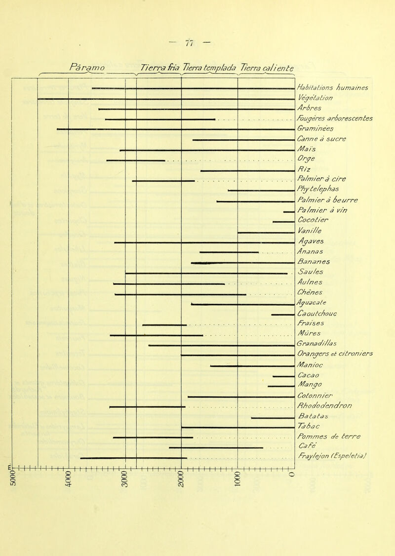 ;000S // — EH-r i i ++ o O o H- f- M I I I 1 J. 1 M I II i i I +++■ -H-+ Habitations humaines Végétation Arbres Fougères arborescentes Graminées Canne à sucre Fiais Orge F iz Palmier à cire Phyte/ephas Pa/mier à beurre Pa/mier à vin Cocotier Vaniiie Agaves Ananas Bananes Sautes Auin es Chênes Aguacate Caoutchouc Fraises Mûres Granac/i/ias Orangers et citroniers Manioc Cacao Aiango Cotonnier Phoe/oc/enc/ron Bats ta s Tabac Pommes de terre Café Fray/e/on tfspeietiaj