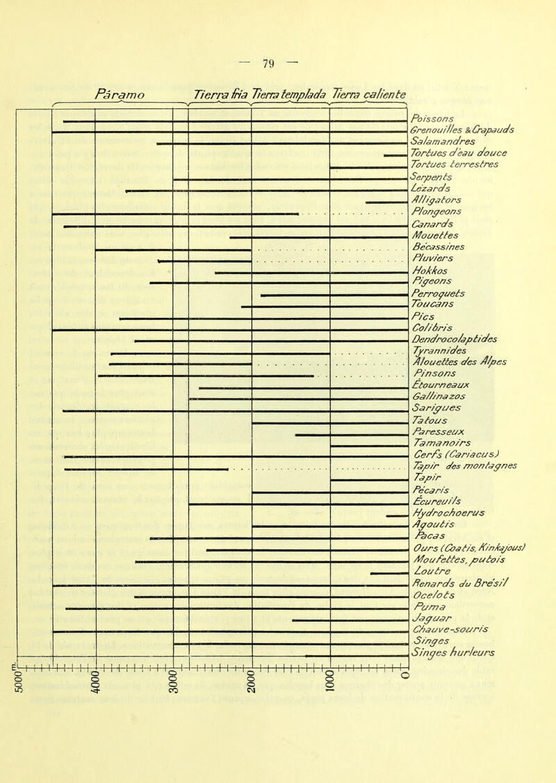 5000 -i 1 I i I I i K f-hH-H-H-4 o o o CO -H- -H- M I 1 Poissons Grenoui/ies & Crapaud s Sa/amandres Tortues d'eau douce Tortues terrestres «Serpents Lézards A/iigators P/ongeons Canards Mouettes Bécassines Piuviers k/okkos Pigeons Perroquets Toucans Pics Co/ibris Dendroco/aptides Tjrannides Alouettes des A/pes Pinsons Etourneaux Ga/tinazos Sarigues Tatous Paresseux Tamanoirs Cerfs (Car/acus) Tapir des montagnes Tapir Pécaris Pcureui/s Pgdroctioerus Agout/s Pacas Ours (Coatis, finkagous) Moufettes, putois Loutre Bénards c/u Bresi/ Oce/ots Puma daguar CLauve -souris Singes Singes hur/eurs