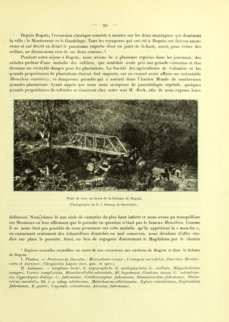 1)9 Depuis Bogota, l’excursion classique consiste à monter sur les deux montagnes qui dominent la ville : le Montserrate et le Guadelupe. Tous les voyageurs qui ont été à Bogota ont fait ces ascen- sions et ont décrit en détail le panorama superbe dont on jouit de là-haut, aussi, pour éviter des redites, ne dirons-nous rien de ces deux courses. 1 Pendant notre séjour à Bogota, nous avions lu à plusieurs reprises dans les journaux, des articles parlant d’une maladie des caféiers, qui semblait avoir pris une grande extension et être devenue un véritable danger pour les plantations. La Société des agriculteurs de Colombie et les grands propriétaires de plantations étaient fort inquiets, car on croyait avoir affaire au redoutable Hemileia vostotrix, ce dangereux parasite qui a anéanti dans l’Ancien Monde de nombreuses grandes plantations. Avant appris que nous nous occupions de parasitologie végétale, quelques grands propriétaires decafetales se réunirent chez notre ami M. Beck, afin de nous exposer leurs Pont de bois au bord de la Sabana de Bogota. (Photographie de M. J. Herzog, de Saint-Gall.) doléances.’Nousjeûmes là une série de causeries du plus haut intérêt et nous avons pu tranquilliser ces Messieurs en leur affirmant que le parasite en question n’était pas le fameux Hemileia. Comme il ne nous était pas possible de nous prononcer sur cette maladie qu’ils appelaient la « mancha », en examinant seulement des échantillons desséchés ou mal conservés, nous décidons d’aller étu- dier sur place le parasite. Ainsi, au lieu de regagner directement le Magdalena par le chemin 1 Espèces nouvelles recueillies au cours de nos excursions aux environs de Bogota et dans la Sabana de Bogota. I. Plantes. — Protococcus fuscatus ; Microchaete crassa ; Uromyces variabilis', Puccinia Montser- rat es et Ancizari; Chrysocelis Lupini (nov. gen. et spec.). II. Animaux. — Geoplana becki, G. nigrocepha/a, G. maltipunctata, G. ocellata, Rhynchodemus samperi, Vorteæ complicatus, Blanchardiella octoculata, RI. bogotensis, Candona annae, C■ columbien- sis, Cypridopsis dadagi, C. fuhrmanni, Canthocamptus Juhrmanni, Stemmatoculus fuhrmanni, Rhino- cri.cus inslabilis, Rh. i. n. subsp. ado/escens, Metarhaucus albilineatus, Ey/ais columbiensis, Englandina fuhrmanni, E. godet i, Vaginula columbiana, Atractus fuhrmanni.