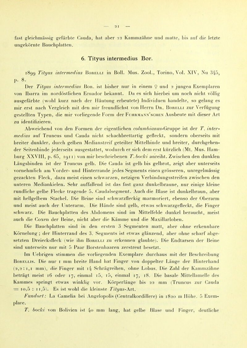 fast gleichmâssig gefârbte Cauda, hat aber 22 Kammzâhne und matte, bis auf die letzte ungekôrnte Bauchplatten. 6. Tityus intermedius Bor. 1899 Tityus intermedius Borelli in Boll. Mus. Zool., Torino, Vol. XIV, Nu 345, P. 8. Der Tityus intermedius Bor. ist bisher nur in einem $ und 2 jungen Exemplaren von Ibarra im nordôstlichen Ecuador bekannt. Da es sich hierbei uni noch nicht vôllig ausgefârbte (wold kurz nach der Hâutung erbeutete) Individuen handelte, so gelang es mir erst nach Vergleich mit den mir freundlichst von Herrn Dr. Borelli zur Verfügung gestellten Typen, die mir vorliegende Form der Fuhrmann’schen Ausbeute mit dieser Art zu identifîzieren. Abweichend von den Formen der eigentlichen columbianus-Gruppe ist der T. inter- medius auf Truncus und Cauda nicht schachbrettartig gefleckt, sondern oberseits mit breiter dunkler, durch gelben Medianstreif geteiller Mittelbinde und breiter, durchgehen- der Seitenbinde jederseits ausgestattet, wodurch er sich dem erst kürzlich (Mt. Mus. Hain- burg XXVIII, p. 65, igi r) von mir beschriebenen T.bocki anreiht. Zwischen den dunklen Lângsbinden ist der Truncus gelb. Die Cauda ist gelb bis gelbrot, zeigt aber unterseits vornehmlicli am Vorder- und Hinterrande jedes Segments einen grôsseren, unregelmâssig gezackten Fleck, dazu meist einen schwarzen, netzigen Verbindungsstreifen zwischen den unteren Mediankielen. Sehr auffallend ist das fast ganz dunkelbraune, nur einige kleine rundliche gelbe Flecke tragende 5. Caudalsegment. Audi die Blase ist dunkelbraun, aber mit hellgelbem Stachel. Die Beine sind schwarzfleckig marmoriert, ebenso der Überarm und meist aucli der Unterarm. Die Hânde sind gelb, etwas schwarzgelleckt, die Finger schwarz. Die Bauchplatten des Abdomens sind im Mittelfelde dunkel beraucht, meist auch die Coxen der Beine, nicht aber die Kâmme und die Maxillarloben. Die Bauchplatten sind in den erslen 3 Segmenten matt, aber ohne erkennbare Kôrnelung ; der Hinterrand des 3. Segments ist etwas glânzend, aber ohne scharf abge- setzten Dreieckstleck (wie ihn Borelli zu erkennen glaubte). Die Endtarsen der Beiue sind unterseits nur mit 5 Paar Borstenhaaren zerstreut besetzt. Im Uebrigen stimmen die vorliegenden Exemplare durchaus mit der Beschreibung Borellis. Die nur 1 mm breite Hand hat Finger von doppelter Lange der Hinterhand (2,2:i,i mm), die Finger mit i4 Schrâgreihen, ohne Lobus. Die Zabi der Kammzâhne betrâgt meist 16 oder 17, einmal 15, 15, einmal 17, 18. Die basale Mittellamelle des Kammes springt etwas winklig vor. Kôrperlânge bis 22 mm (Truncus zur Cauda — io,5 : ii,5). Es ist wohl die kleinste Tityus-Xvl. Fundort : La Camélia bei Angelopolis (Centralkordillere) in 1820 m Hôhe. 5 Exem- plare. T. bocki von Bolivien ist 4o mm lang, hat gelbe Blase und Finger, deutliche