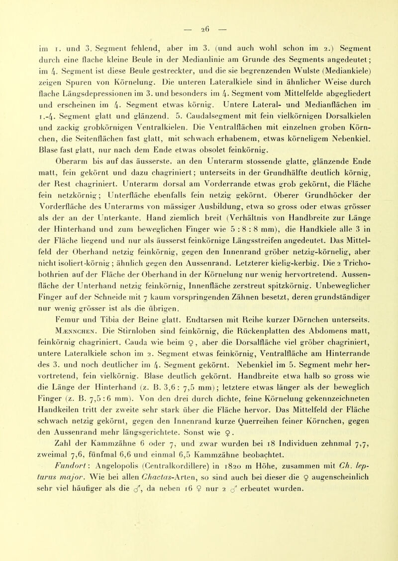 durch eine Hache kleine Beule in der Medianlinie am Grande des Segments angedeutet; im 4- Segment ist diese Beule gestreckter, und die sie begrenzenden Wulste (Mediankiele) zeigen Spuren von Kôrnelung. Die unteren Lateralkiele sind in âhnlicher Weise durch flache Lângsdepressionen im 3. und besonders im 4- Segment vom Mittelfelde abgegliedert und erscheinen im 4- Segment etwas kôrnig. Untere Latéral- und Medianflâchen im i.-4. Segment glatt und glânzend. 5. Caudalsegment mit fein vielkôrnigen Dorsalkielen und zackig grobkôrnigen Ventralkielen. Die Ventralflâchen mit einzelnen groben Kôrn- chen, die Seitenflâchen fast glatt, mit schwach erhabenem, etwas kôrneligem Nebenkiel. Blase fast glatt, nur nach dem Ende etwas obsolet feinkôrnig. Oberarm bis auf das àusserste. an den Unterarm stossende glatte, glânzende Ende malt, fein gekôrnt und dazu chagriniert ; unterseits in der Grandhâlfte deutlich kôrnig, der Rest chagriniert. Unterarm dorsal am Vorderrande etwas grob gekôrnt, die Flache fein netzkôrnig; Unterflâche ebenfalls fein netzig gekôrnt. Obérer Grundhôcker der Vorderllâche des Unterarms von mâssiger Ausbildung, etwa so gross oder etwas grôsser als der an der Unterkante. Hand ziemlich breit (Verhâltnis von Handbreite zur Lange der Hinterhand und zum beweglichen Finger wie 5:8:8 mm), die Handkiele aile 3 in der Flache liegend und nur als âusserst feinkôrnige Lângsstreifen angedeutet. Das Mittel- feld der Oberhand netzig feinkôrnig, gegen den Innenrand grôber netzig-kôrnelig, aber nicht isoliert-kôrnig ; âhnlich gegen den Aussenrand. Letzterer kielig-kerbig. Die 2 Tricho- bothrien auf der Flache der Oberhand in der Kôrnelung nur wenig hervortretend. Aussen- llache der Unterhand netzig feinkôrnig, Innenflâche zerstreut spitzkôrnig. Unbeweglicher Finger auf der Schneide mit 7 kaum vorspringenden Zâhnen besetzt, deren grundstândiger nur wenig grôsser ist als die übrigen. Fémur und Tibia der Beine glatt. Endtarsen mit Reihe kurzer Dôrnchen unterseits. Mænnchen. Die Stirnloben sind feinkôrnig, die Riickenplatten des Abdomens matt, feinkôrnig chagriniert. Cauda wie beim 9, aber die Dorsalflâche viel grôber chagriniert, untere Lateralkiele schon im 2. Segment etwas feinkôrnig, Ventralflâche am Hinterrande des 3. und noch deutlicher im 4* Segment gekôrnt. Nebenkiel im 5. Segment mehr her- vortretend, fein vielkôrnig. Blase deutlich gekôrnt. Handbreite etwa halb so gross wie die Lange der Hinterhand (z. B. 3,6: 7,5 mm); letztere etwas langer als der beweglich Finger (z. B. 7,5:6 mm). Von den drei durch dichte, feine Kôrnelung gekennzeiclineten Handkeilen tritt der zweite sehr stark über die Flache hervor. Das Mittelfeld der Flache schwach netzig gekôrnt, gegen den Innenrand kurze Querreihen feiner Kôrnchen, gegen den Aussenrand mehr lângsgerichtete. Sonst wie 9. Zahl der Kammzâhne 6 oder 7, und zwar wurden bei 18 Individuen zehnmal 7,7, zweimal 7,6, fiinfmal 6,6 und einmal 6,5 Kammzâhne beobachtet. Fundort : Angelopolis (Centralkordillere) in 1820 m Hôhe, zusammen mit Ch. lep- turus major. Wie bei allen C/mctas-Arten, so sind auch bei dieser die 9 augenscheinlich sehr viel hâufiger als die <3*, da neben 16 $ nur 2 erbeutet wurden.