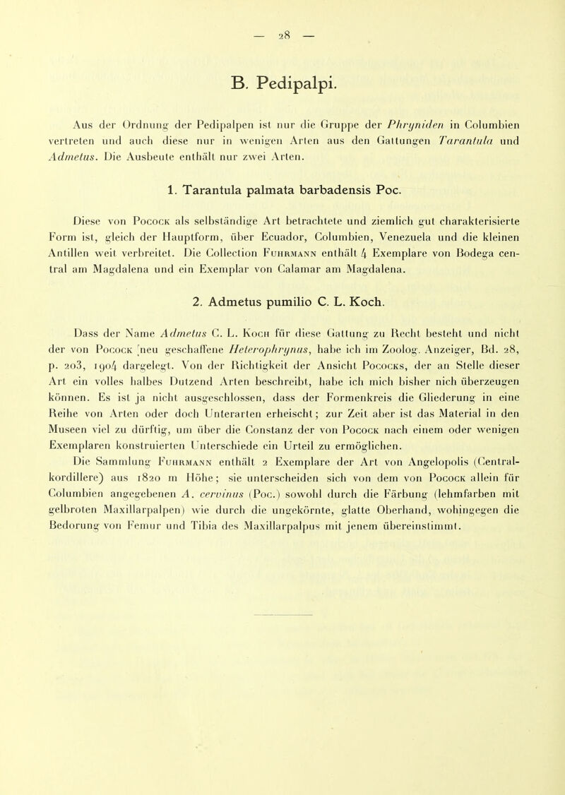 B. Pedipalpi. Aus der Ordnung der Pedipalpen ist nur die Gruppe der Phryniden in Columbien vertreten und auch diese nur in wenigen Arten aus den Gattungen Tarantula und Admetus. Die Ausbeute enthâlt nur zwei Arten. 1. Tarantula palmata barbadensis Poe. Diese von Pocock als selbstândige Art betrachtete und ziemlich gut charakterisierte Form ist, gleich der Hauptform, über Ecuador, Columbien, Venezuela und die kleinen Antillen weit verbreitet. Die Collection Fuhrmann enthâlt 4 Exemplare von Bodega cen- tral am Magdalena und ein Exemplar von Calamar am Magdalena. 2. Admetus pumilio C. L. Koch. Dass der Name Admetus C. L. Koch fur diese Gattung zu Redit besteht und nicht der von Pocock neu geschaffene Heterophrynus, habe ich im Zoolog. Anzeiger, Bd. 28, p. 2o3, 1904 dargelegt. Von der Richtigkeit der Ansiclit Pococks, der an Stelle dieser Art. ein voiles halbes Dutzend Arten beschreibt, habe ich mich bisher nich iiberzeugen kônnen. Es ist ja nicht ausgeschlossen, dass der Formenkreis die Gliederung in eine Reihe von Arten oder doch Unterarten erheischt ; zur Zeit aber ist das Material in den Museen viel zu dürftig, um über die Constanz der von Pocock nach einem oder wenigen Exernplaren konstruierten Unterschiede ein Urteil zu ermôglichen. Die Sammlung Fuhrmann enthâlt 2 Exemplare der Art von Angelopolis (Central- kordillere) aus 1820 m Hôhe ; sie unterseheiden sich von dem von Pocock allein fiir Columbien angegebenen A. cervinus (Poe.) sowohl durch die Fârbung (lehmfarben mit gelbroten Maxillarpalpen) wie durch die ungekôrnte, glatte Oberhaud, wohingegen die Bedorung von Fémur und Tibia des Maxillarpalpus mit jenem übereinstimmt.