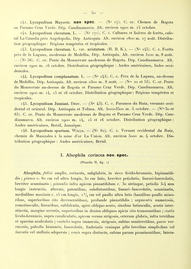 141. Lycopodium Mayoris. nov. spec. — (N° 17). C. or. Chemin de Bogota au Paramo Cruz Verde. Dép. Cundinamarca. Alt. environ 2900 m. i5 octobre. 142. Lycopodium clavatum. L. — (N° 171). C. c. Cultures et lisières de forêts, cafe- tal La Camélia près Angelopolis. Dép Antioquia. Alt. environ 1800 m. 27 août. Distribu- tion géographique : Régions tempérées et tropicales. 143. Lycopodium clavatum. L. var. aristatum. (H. B. K.). — (N° 145)- C. c. Forêts près de la Laguna, au-dessus de Medellin. Dép. Antioquia. Alt. environ 3200 m. 8 août. — (N° 56). C. or. Pente du Monserrate au-dessus de Bogota. Dép. Cundinamarca. Alt. environ 2900 m. t6 octobre. Distribution géographique : Andes américaines, Indes occi- dentales. 144- Lycopodium complanatum. L. — (N° 143). C. c. Près de la Laguna, au-dessus de Medellin. Dép. Antioquia. Alt. environ 23oo m. 8 août. — (N°s 20 et 55). C. or. Pente du Monserrate au-dessus de Bogota et Paramo Cruz Verde. Dép. Cundinamarca. Alt. environ 2900 m. i4, i5 et 16 octobre. Distribution géographique : Régions tempérées et tropicales. j45. Lycopodium Jussiaei. Desv. — (N» 43). C. c. Paramos du Ruiz, versants occi- dental et oriental. Dép. Antioquia et Tolima. Alt. 3ooo-35oo m. 5 octobre. — (Nos 3o et 63). C. or. Pente du Monserrate au-dessus de Bogota et Paramo Cruz Verde. Dép. Cun- dinamarca. Alt. environ 2900 m. 14, (5 et 16 octobre. Distribution géographique : Andes américaines, Brésil, Jamaïque. 146. Lycopodium spurium. VVilld. — (N° 62). C. c. Versant occidental du Ruiz, chemin de Manizales à la mine d’or La Union. Alt. environ 3ooo m. 4 octobre. Dis- tribution géographique : Andes américaines, Brésil. 1. Alsophila coriacea nov. spec. (Planche II, fig. 1) Alsophila, foliis amplis, coriaceis, subglabris, in sicco livido-brunneis, bipinnatifi- dis ; pinnis c. 80 cm vel ultra longis, 3o cm latis, breviter petiolatis, lineari-lanceolatis, breviter acuminatis ; pinnulis infra apicem pinnatifidum c. 3o utrinque, petiolis 3-4 mm longis instructis, alternis, patentibus, subdistantibus, lineari-lanceolatis, acuminatis, medialibus maximis c. i5 cm longis, 2 l/% cm vel paullo ultra latis (basalibus paullo mino- ribus, superioribus cito decrescentibus), profunde pinnatifidis ; segmentis numerosis, remotiusculis, linearibus, subfalcatis, apice obliquo acuto, sinubus latiusculis, acutis inter- stinctis, margine serratis, superioribus in dentes obliquos apicis cito transeuntibus ; costis livido-brunneis, supra canaliculatis, apicem versus strigosis, ceterum glabris, infra teretibus et sparsim aculeolatis ; costulis supra immersis, strigosis, sublus semiteretibus, parce ver- rucosis, paleolis brunneis, lanceolatis, fimbriatis venisque pilis brevibus simplicibus vel lurcatis vel stellatis adspersis ; venis supra distincte, subtus parum prominentibus, latera-