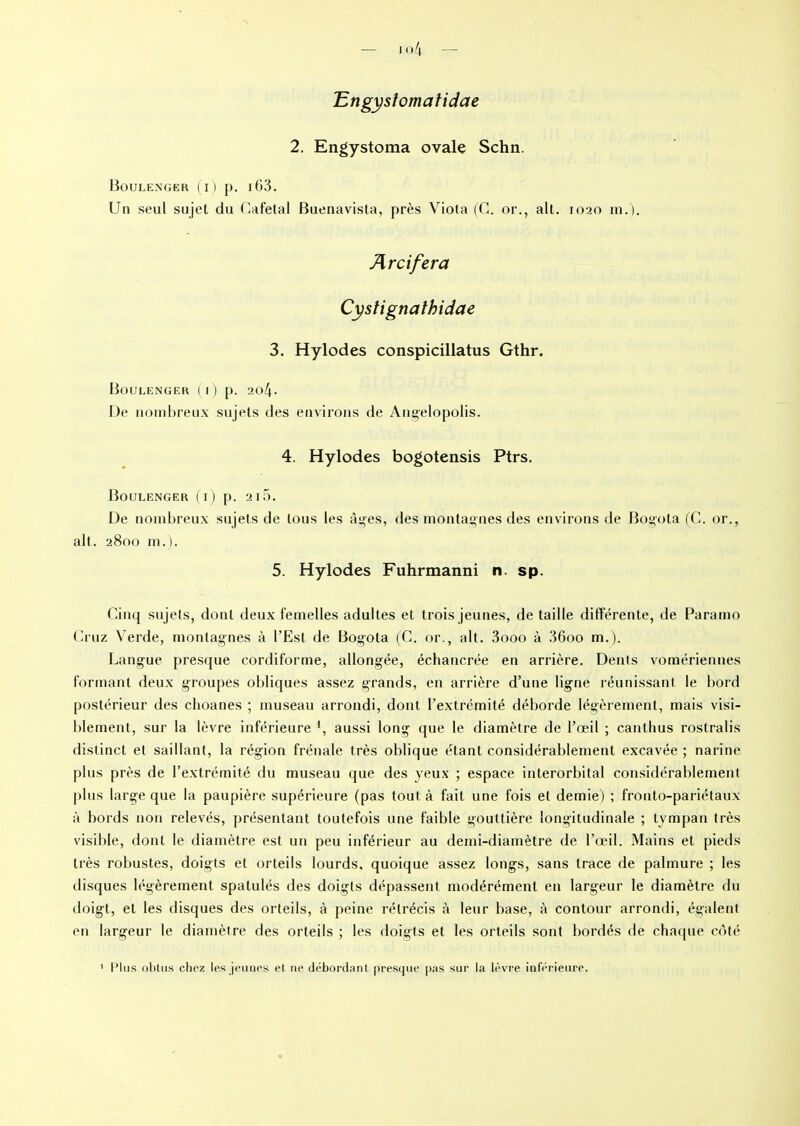 'Engysîomatidae 2. Engystoma ovale Schn. Boulenger (i) p. i63. Un seul sujet du Cafetal Buenavista, près Viola (C. or., ait. 1020 m.). Ar ci fera Cystignathidae 3. HyIodes conspicillatus Gthr. Boulenger (1) p. ao4- De nombreux sujets des environs de Angelopolis. 4. Hylodes bogotensis Ptrs. Boulenger (i) p. 215. De nombreux sujets de tous les âges, des montagnes des environs de Bogota (C. or., ait. 2800 m.). 5. Hylodes Fuhrmanni n. sp. Cinq sujets, dont deux femelles adultes et trois jeunes, de taille différente, de Paranio Cruz Verde, montagnes à l’Est de Bogota (C. or., ait. 3ooo à 36oo m.). Langue presque cordiforme, allongée, échancrée en arrière. Dents vomériennes formant deux groupes obliques assez grands, en arrière d’une ligne réunissant le bord postérieur des choanes ; museau arrondi, dont l’extrémité déborde légèrement, mais visi- blement, sur la lèvre inférieure *, aussi long que le diamètre de l’œil ; cantlius rostralis distinct et saillant, la région frênaie très oblique étant considérablement excavée ; narine plus près de l’extrémité du museau que des yeux ; espace interorbital considérablement plus large que la paupière supérieure (pas tout à fait une fois et demie) ; fronto-pariétaux à bords non relevés, présentant toutefois une faible gouttière longitudinale ; tympan très visible, dont le diamètre est un peu inférieur au demi-diamètre de l’œil. Mains et pieds très robustes, doigts et orteils lourds, quoique assez longs, sans trace de palmure ; les disques légèrement spatulés des doigts dépassent modérément en largeur le diamètre du doigt, et les disques des orteils, à peine rétrécis à leur base, à contour arrondi, égalent en largeur le diamètre des orteils ; les doigts et les orteils sont bordés de chaque côté 1 Plus obtus chez les jeunes et ne débordant presque pas sur la lèvre inférieure.