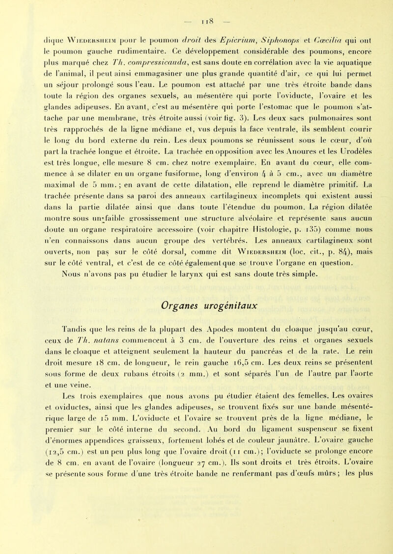 clique Wiedersheim pour le poumon droit des Epicrium, Siphonops et Concilia qui ont le poumon gauche rudimentaire. Ce développement considérable des poumons, encore plus marqué chez Th. compressicauda, est sans doute en corrélation avec la vie aquatique de l’animal, il peut ainsi emmagasiner une plus grande quantité d’air, ce qui lui permet un séjour prolongé sous l’eau. Le poumon est attaché par une très étroite bande dans toute la région des organes sexuels, au mésentère qui porte l’oviducte, l’ovaire et les glandes adipeuses. En avant, c’est au mésentère qui porte l’estomac que le poumon s’at- tache par une membrane, très étroite aussi (voir tig. 3). Les deux sacs pulmonaires sont très rapprochés de la ligne médiane et, vus depuis la face ventrale, ils semblent courir le long du bord externe du rein. Les deux poumons se réunissent sous le cœur, d’où part la trachée longue et étroite. La trachée en opposition avec les Anoures et les Urodèles est très longue, elle mesure 8 cm. chez notre exemplaire. En avant du cœur, elle com- mence à se dilater en un organe fusiforme, long d’environ 4 à 5 cm., avec un diamètre maximal de 5 mm.; en avant de cette dilatation, elle reprend le diamètre primitif. La trachée présente dans sa paroi des anneaux cartilagineux incomplets qui existent aussi dans la partie dilatée ainsi que dans toute l’étendue du poumon. La région dilatée montre sous un-faible grossissement une structure alvéolaire et représente sans aucun doute un organe respiratoire accessoire (voir chapitre Histologie, p. 135) comme nous n’en connaissons dans aucun groupe des vertébrés. Les anneaux cartilagineux sont ouverts, non pas sur le côté dorsal, comme dit Wiedersheim (loc. cit., p. 84), mais sur le côté ventral, et c’est de ce côté également que se trouve l’organe en question. Nous n’avons pas pu étudier le larynx qui est sans doute très simple. Organes urogénitaux Tandis que les reins de la plupart des Apodes montent du cloaque jusqu’au cœur, ceux de Th. natans commencent à 3 cm. de l’ouverture des reins et organes sexuels dans le cloaque et atteignent seulement la hauteur du pancréas et de la rate. Le rein droit mesure 18 cm. de longueur, le rein gauche 16,5 cm. Les deux reins se présentent sous forme de deux rubans étroits (2 mm.) et sont séparés l’un de l’autre par l’aorte et une veine. Les trois exemplaires que nous avons pu étudier étaient des femelles. Les ovaires et oviductes, ainsi que les glandes adipeuses, se trouvent fixés sur une bande mésenté- rique large de i5 mm. L’oviducte et l’ovaire se trouvent près de la ligne médiane, le premier sur le côté interne du second. Au bord du ligament suspenseur se fixent d’énormes appendices graisseux, fortement lobés et de couleur jaunâtre. L’ovaire gauche (i2,5 cm.) est un peu plus long que l’ovaire droit (ir cm.); l’oviducte se prolonge encore de 8 cm. en avant de l’ovaire (longueur 27 cm.). Ils sont droits et très étroits. L’ovaire se présente sous forme d’une très étroite bande ne renfermant pas d’œufs murs; les plus