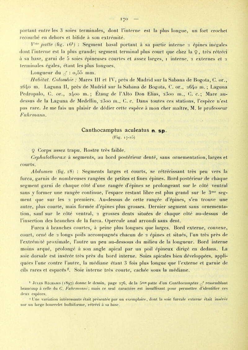 portant entre les 3 soies terminales, dont l’interne est la plus longue, un fort crochet recourbé en dehors et bifide à son extrémité. V'ne patte (fig. îfi1) : Segment basal portant à sa partie interne 2 épines inégales dont l’interne est la plus grande; segment terminal plus court que chez la $, très rétréci à sa base, garni de 5 soies épineuses courtes et assez larges, i interne, 2 externes et 2 terminales égales, étant les plus longues. Longueur du : o,55 mm. Habitat. Colombie : Mares III et IYT, près de Madrid sur la Sabana de Bogota, C. or., 2640 m. Laguna 11, près de Madrid sur la Sabana de Bogota, C. or., 2640 m. ; Laguna Pedropalo, C. or., 2400 m. ; Étang de l’Alto Don Elias, 2.3oo m., C. c.; Mare au- dessus de la Laguna de Medellin, 2.3oo m., C. c. Dans toutes ces stations, l’espèce n’est pas rare. Je me fais un plaisir de dédier cette espèce à mon cher maître, M. le professeur F ah r marin. Canthocamptus aculeatus n. sp. (Fig. 1 7~2.r>) 9 Corps assez trapu. Bostre très faible. Céphalothorax à segments, au bord postérieur denté, sans ornementation, larges et courts. Abdomen (fig. 18) : Segments larges et courts, se rétrécissant très peu vers la furca, garnis de nombreuses rangées de petites et fines épines. Bord postérieur de chaque segment garni de chaque côté d’une rangée d’épines se prolongeant sur le côté ventral sans y former une rangée continue, l’espace restant libre est plus grand sur le 3me seg- ment que sur les 2 premiers. Au-dessus de cette rangée d’épines, s’en trouve une autre, plus courte, mais formée d’épines plus grosses. Dernier segment sans ornementa- tion, sauf sur le côté ventral, 2 grosses dents situées de chaque côté au-dessus de l’insertion des branches de la furca. Opercule anal arrondi sans dent. Furca à branches courtes, à peine plus longues que larges. Bord externe, convexe, court, orné de 2 longs poils accompagnés chacun de 2 épines et situés, l’un très près de l’extrémité proximale, l’autre un peu au-dessous du milieu de la longueur. Bord interne moins arqué, prolongé à son angle apical par un poil épineux dirigé en dedans. La soie dorsale est insérée très près du bord interne. Soies apicales bien développées, appli- quées l’une contre l’autre, la médiane étant 3 fois plus longue que l’externe et garnie de cils rares et espacés2. Soie interne très courte, cachée sous la médiane. ' Jules Richard (1897) donne le dessin, page 276, de la 5me patte d'un Canthocamptus ^ ressemblant beaucoup à celle du C. Fuhrmanni; mais ce seul caractère est insuffisant pour permettre d’identifier ces deux espèces. - Une variation intéressante était présentée par un exemplaire, dont la soie furcale externe était insérée sur un large bourrelet bulbiforme, rétréci à sa base.