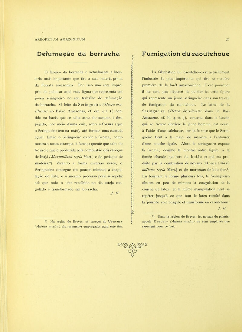 Defuma<?ao da borraeha O fabrico da borraeha e actualmente a indu- stria mais importante que tire a sua materia prima da floresta amazonica. Por isso nao sera impro- prio de publicar aqui esta figura que representa um joven seringueiro no seu trabalho de defumagao da borraeha. O leite da Seringueira (Hevea hra- siliensis no Baixo Amazonas, cf. est. 465) con- tido na bacia que se acha atraz do menino, e des- pejado, por meio d'uma cuia, sobre a forma (que o Seringueiro tern na mao), ate formar uma camada egual. Entao o Seringueiro expoe a forma, como mostra a nossa estampa, a fumaga quente que sahe do boiao e que e produzida pela combustao dos carogos de Inaja (Maximiliana regia Mart.) e de pedagos de madeira.*) Virando a forma diversas vezes, o Seringueiro consegue em poucos minutos a coagu- lagao do leite, e o mesmo processo pode se repetir ate que todo o leite recolhido no dia esteja coa- gulado e transformado em borraeha. y. H. *) Na regiao de Breves, os carogos do Urucury (Attalea excelsa) sac raramente empregados para este fim. Fumigation du eaoutehoue La fabrication du eaoutehoue est aetuellement I'industrie la plus importante qui tire sa matiere premiere de la foret amazonienne. C'est pourquoi il ne sera pas deplace de publier iei eette figure qui represente un jeune seringueiro dans son travail de fumigation du eaoutehoue. Le latex de la Seringueira (Hevea brasilie^isis dans le Bas- Amazone, cf PI. 4 et 5), eontenu dans le bassin qui se trouve derriere le jeune homme, est verse, a I'aide d'une calebasse, sur la forme que le Senn- it gueiro tient a la main, de maniere a I'entourer d'une couche egale. Alors le seringueiro expose la forme, comme le montre notre figure, a la fumee chaude qui sort du boiao et qui est pro- duite par la combustion de noyaux d'Inaja (01'/<7.r/- miliana regia Mart.) et de morceaux de bois dur.*) En tournant la forme plusieurs fois, le Seringueiro obtient en peu de minutes la coagulation de la couche de latex, et la meme manipulation peut se repeter jusqu'a ce que tout le latex recolte dans la journee soit eoagule et transforme en caoutchouc. *) Dans la region de Breves, les noyaux du palmier appele Urucury (Attalea excelsa) ne sont employes que rarement pour ce but.